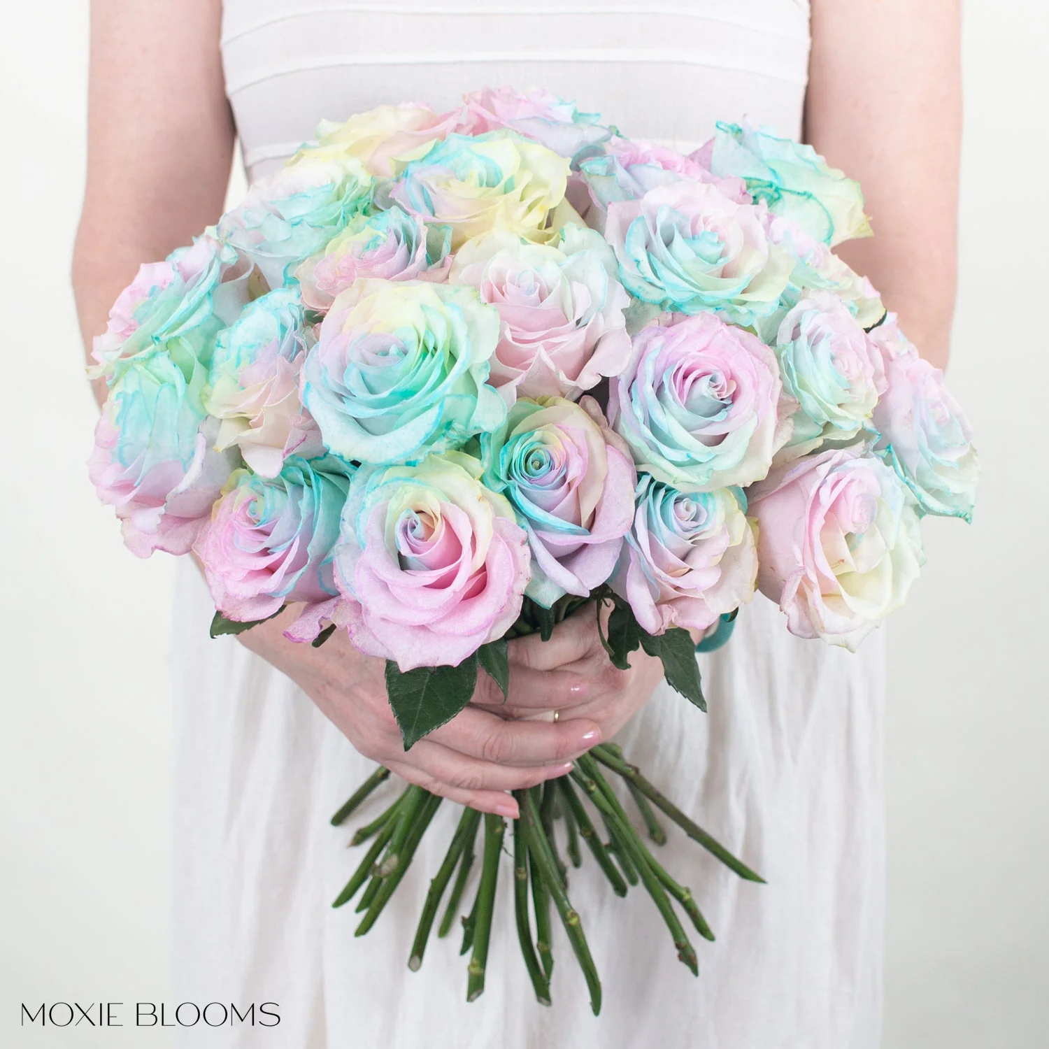 Cotton Candy Novelty Rose - Image 3