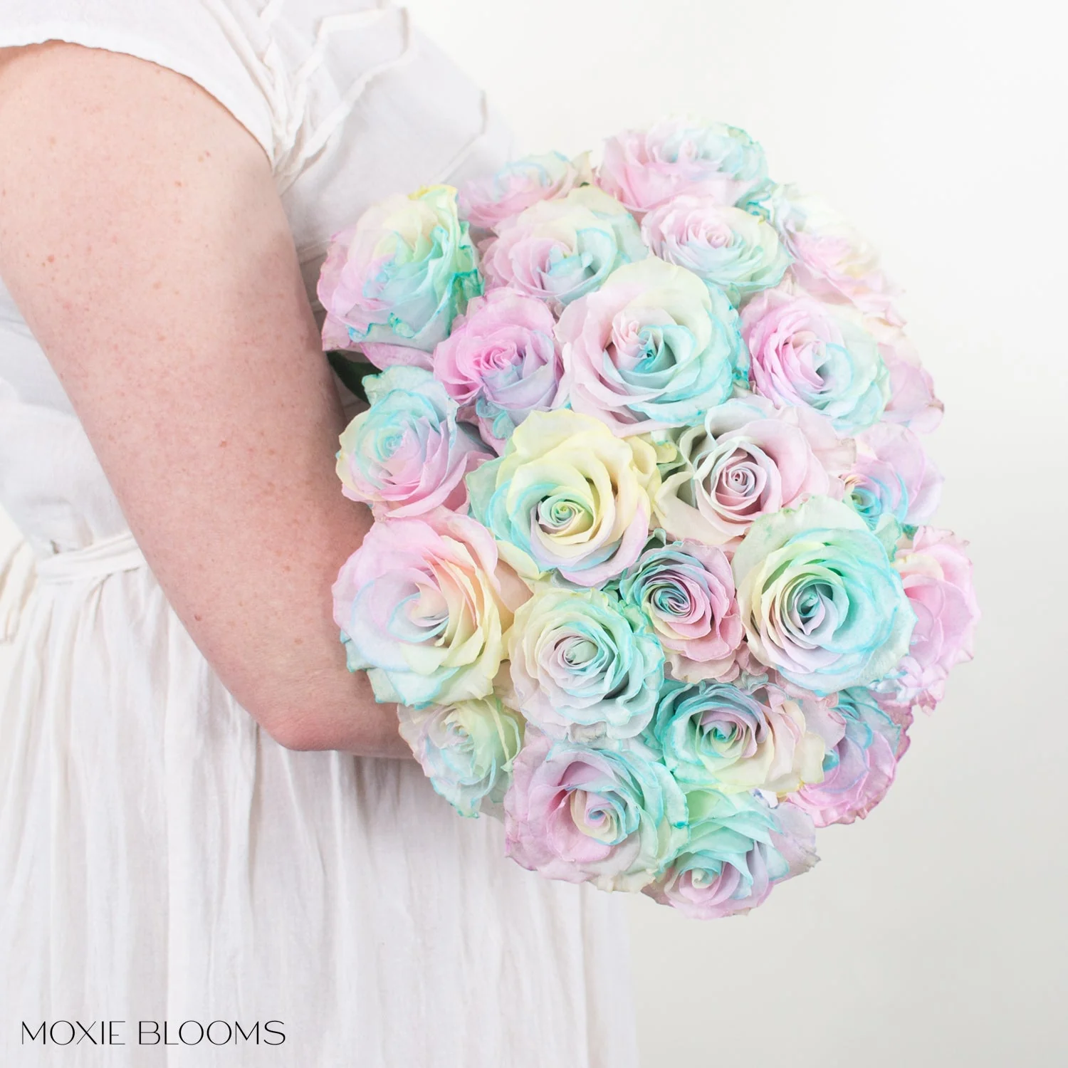 Cotton Candy Novelty Rose - Image 4