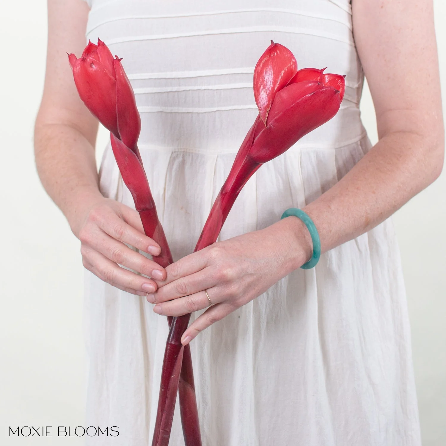 Red Torch Ginger - Image 3