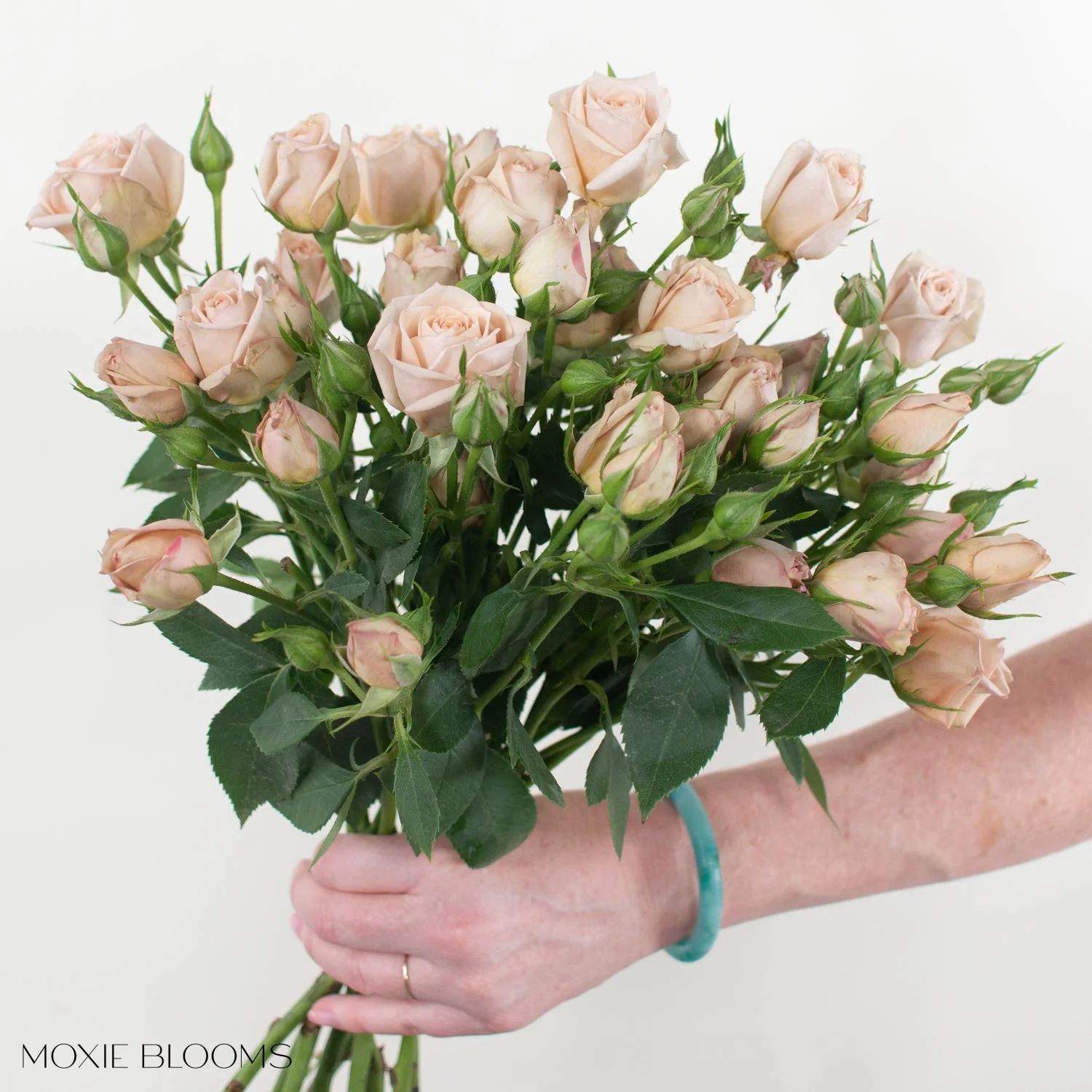 Champagne Sahara Spray Roses - Image 6