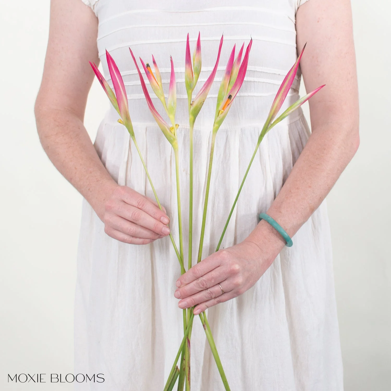 Sassy Heliconia - Image 4