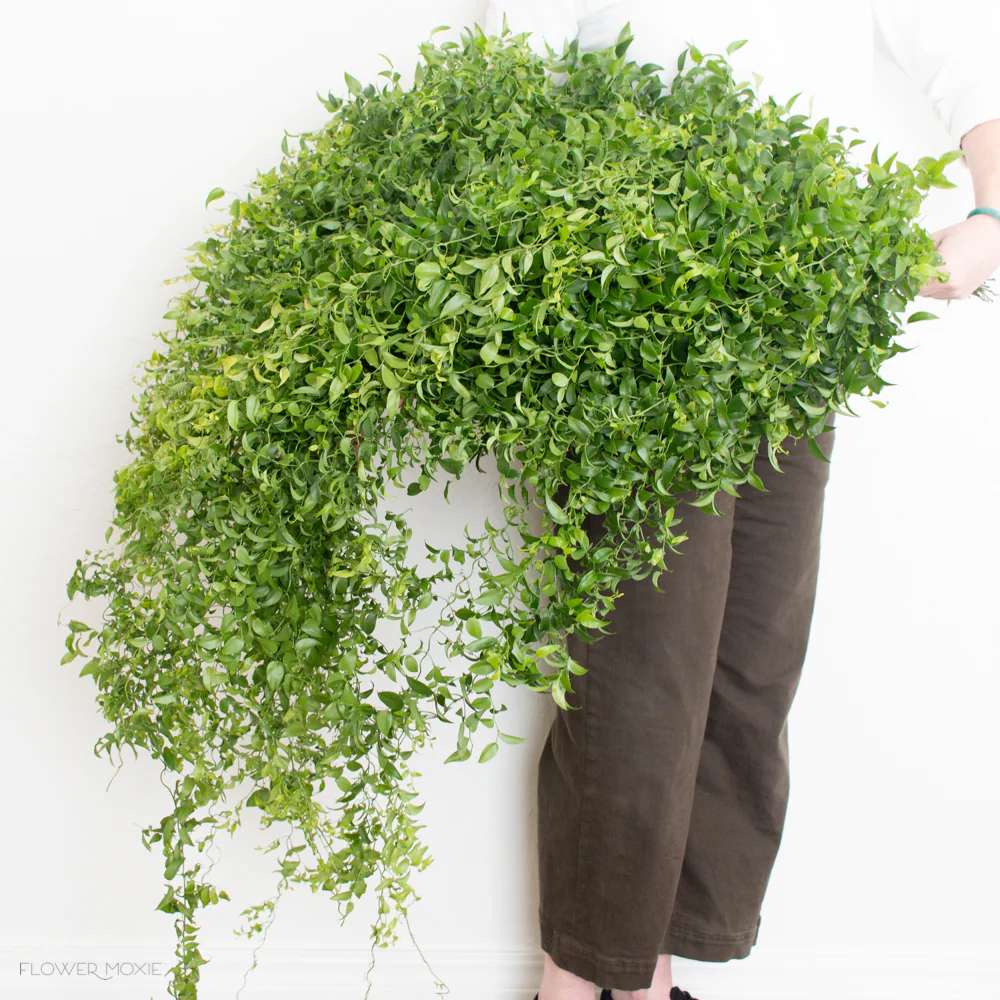 Smilax Vine Greenery