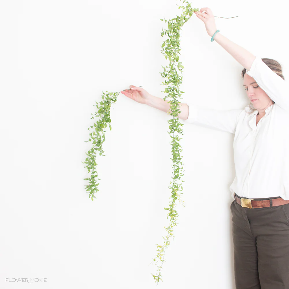 Smilax Vine Greenery - Image 3