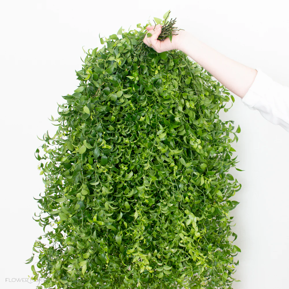 Smilax Vine Greenery - Image 4