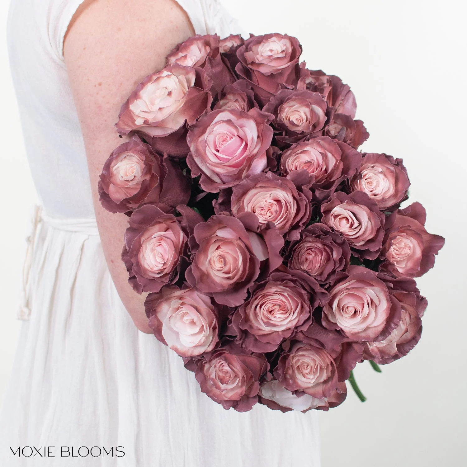 Sweet Plum Novelty Rose