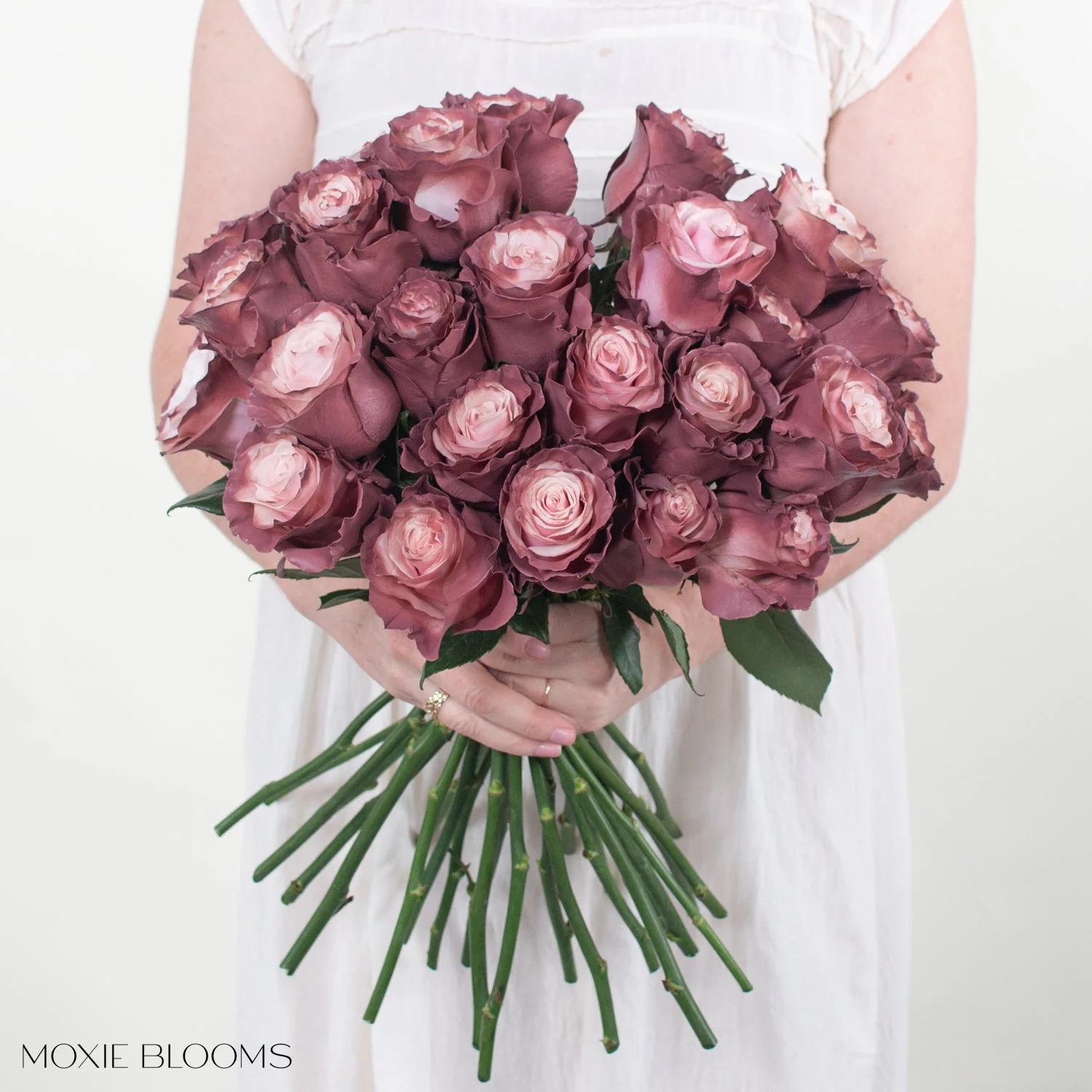 Sweet Plum Novelty Rose - Image 2
