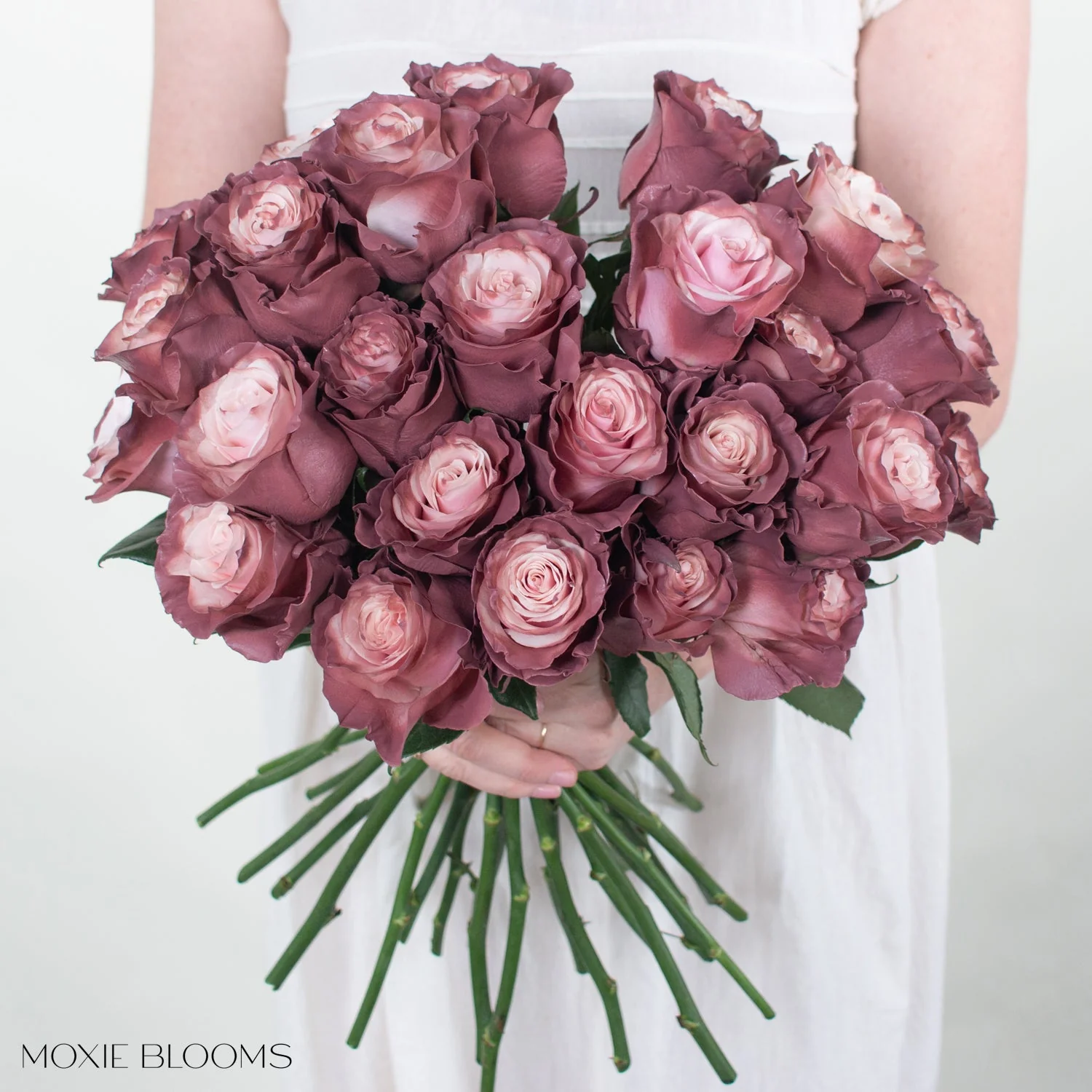 Sweet Plum Novelty Rose - Image 3