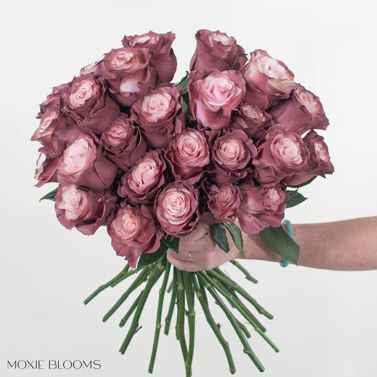Sweet Plum Novelty Rose - Image 4