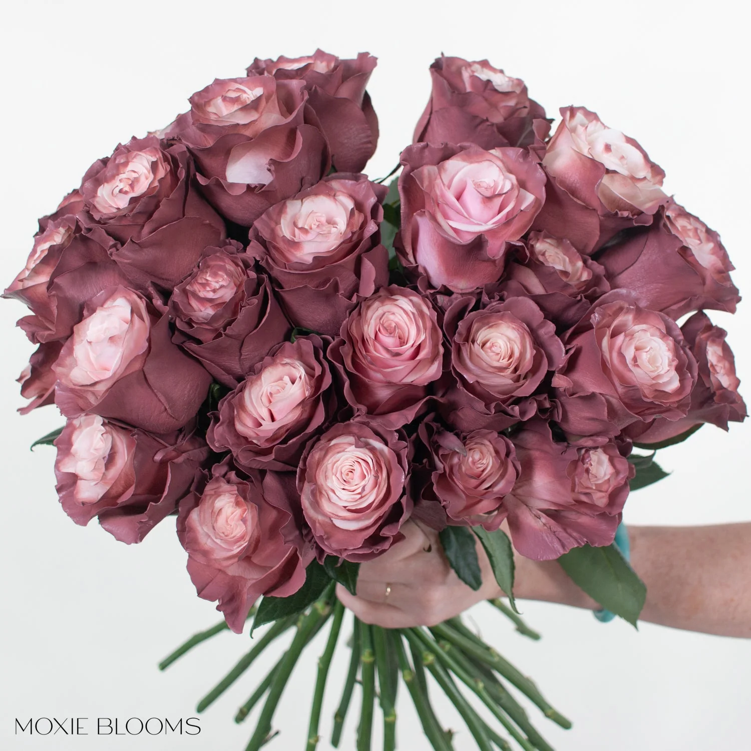 Sweet Plum Novelty Rose - Image 5