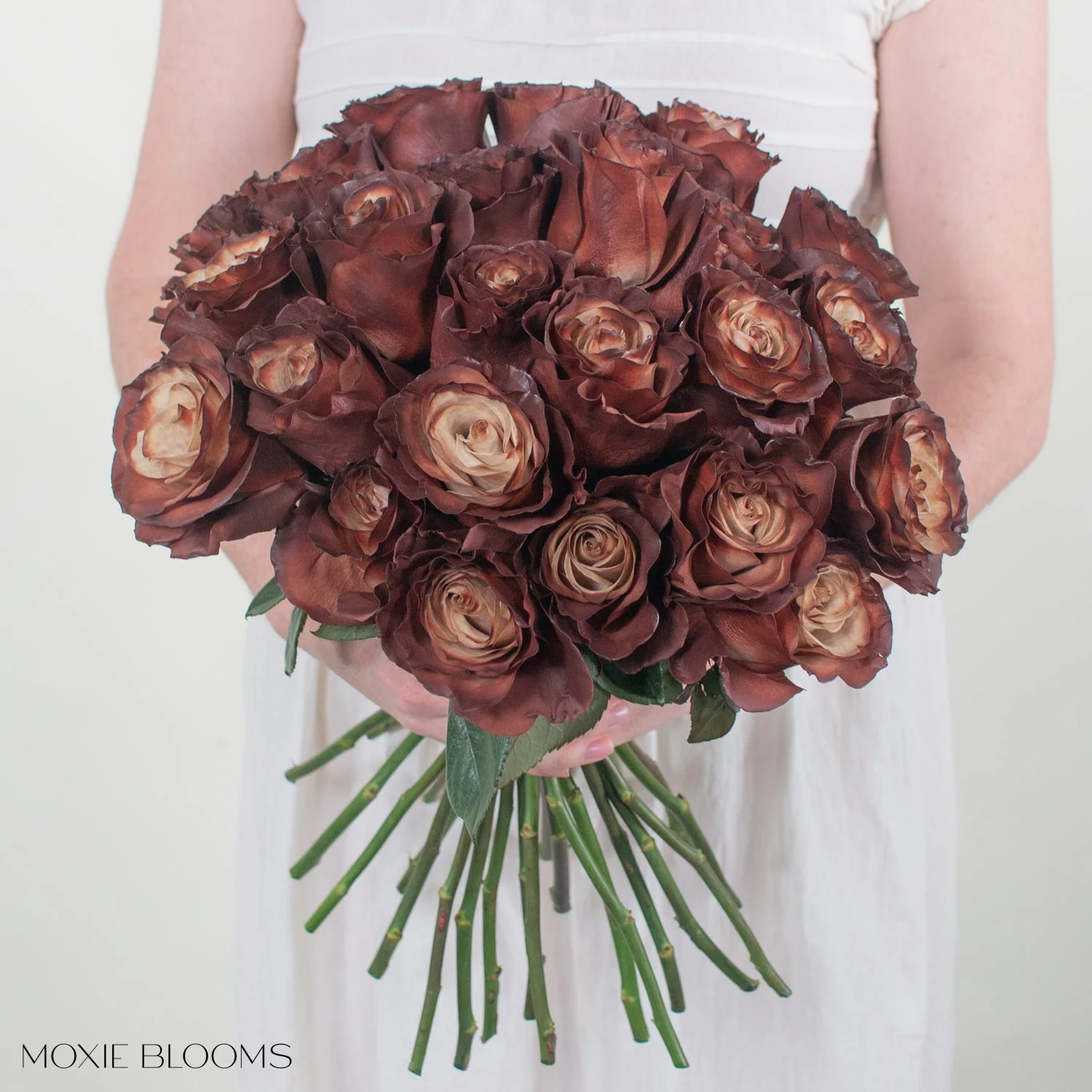 Truffle Novelty Rose - Image 2