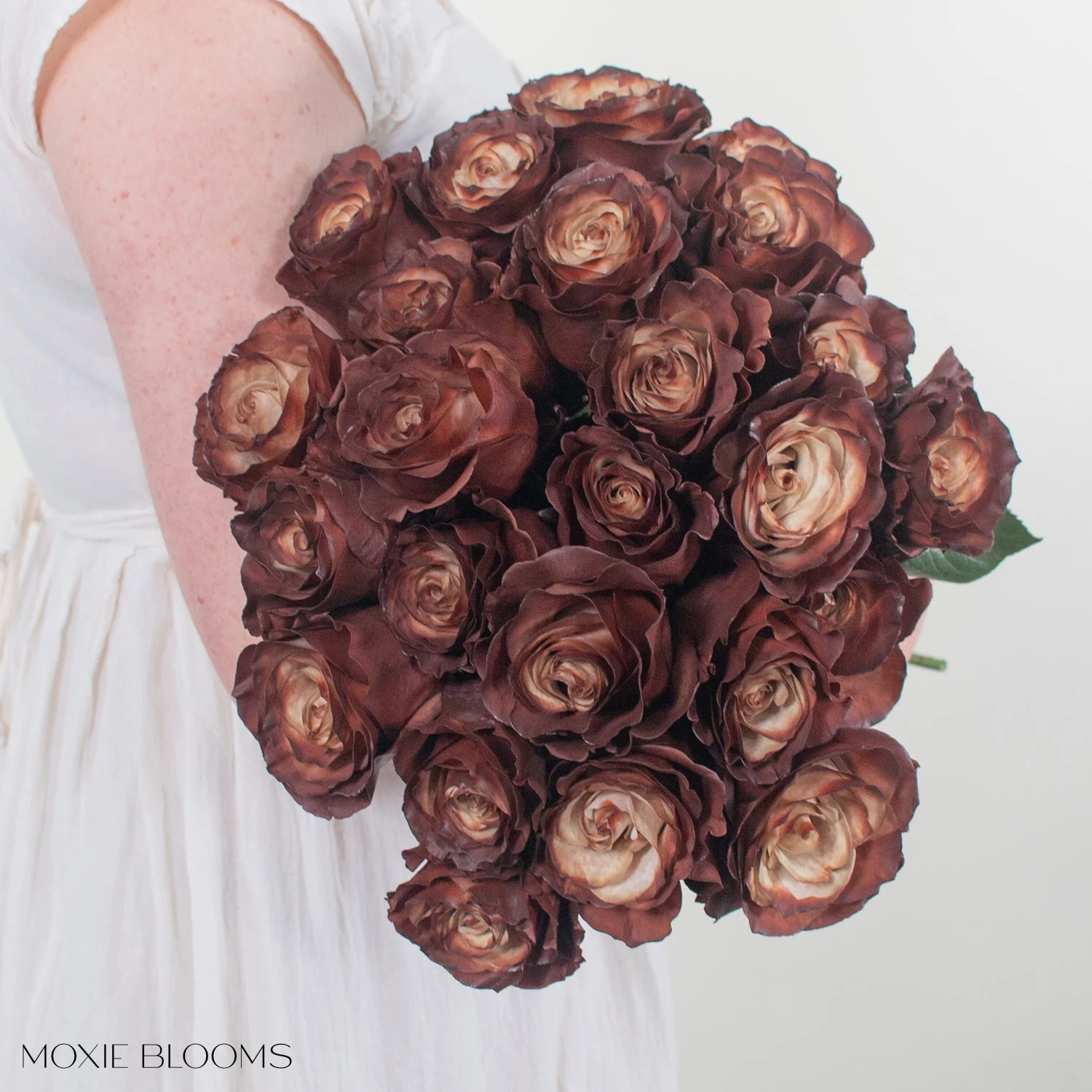 Truffle Novelty Rose - Image 3