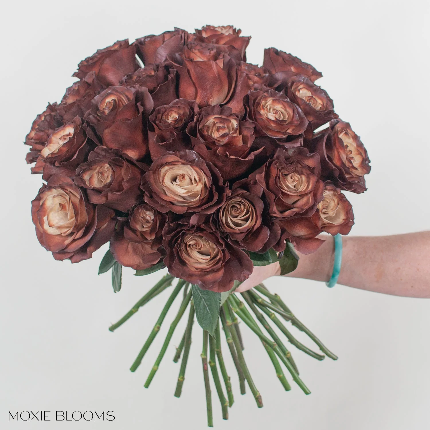 Truffle Novelty Rose - Image 4