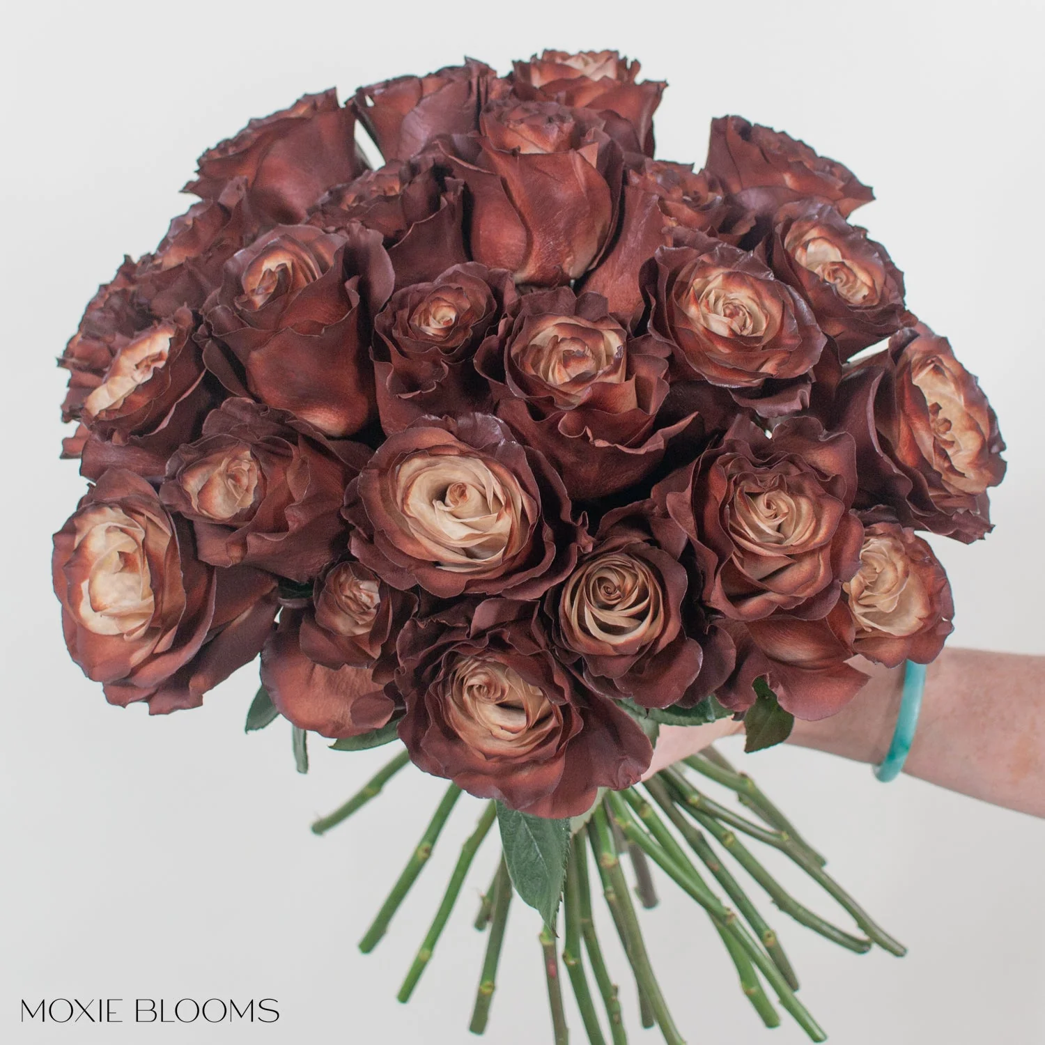 Truffle Novelty Rose - Image 5
