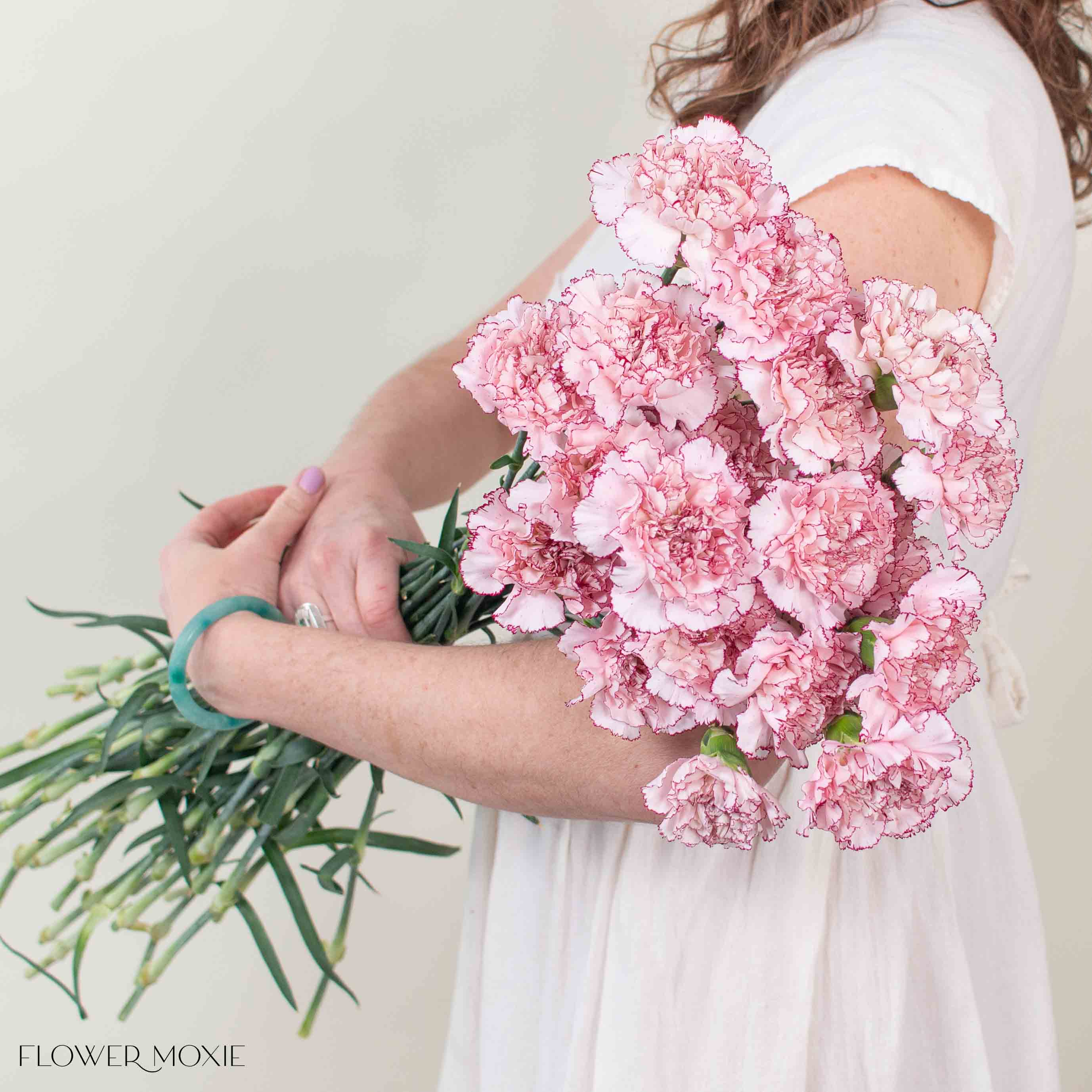 Blush Burgundy Carnation Flower - Image 4