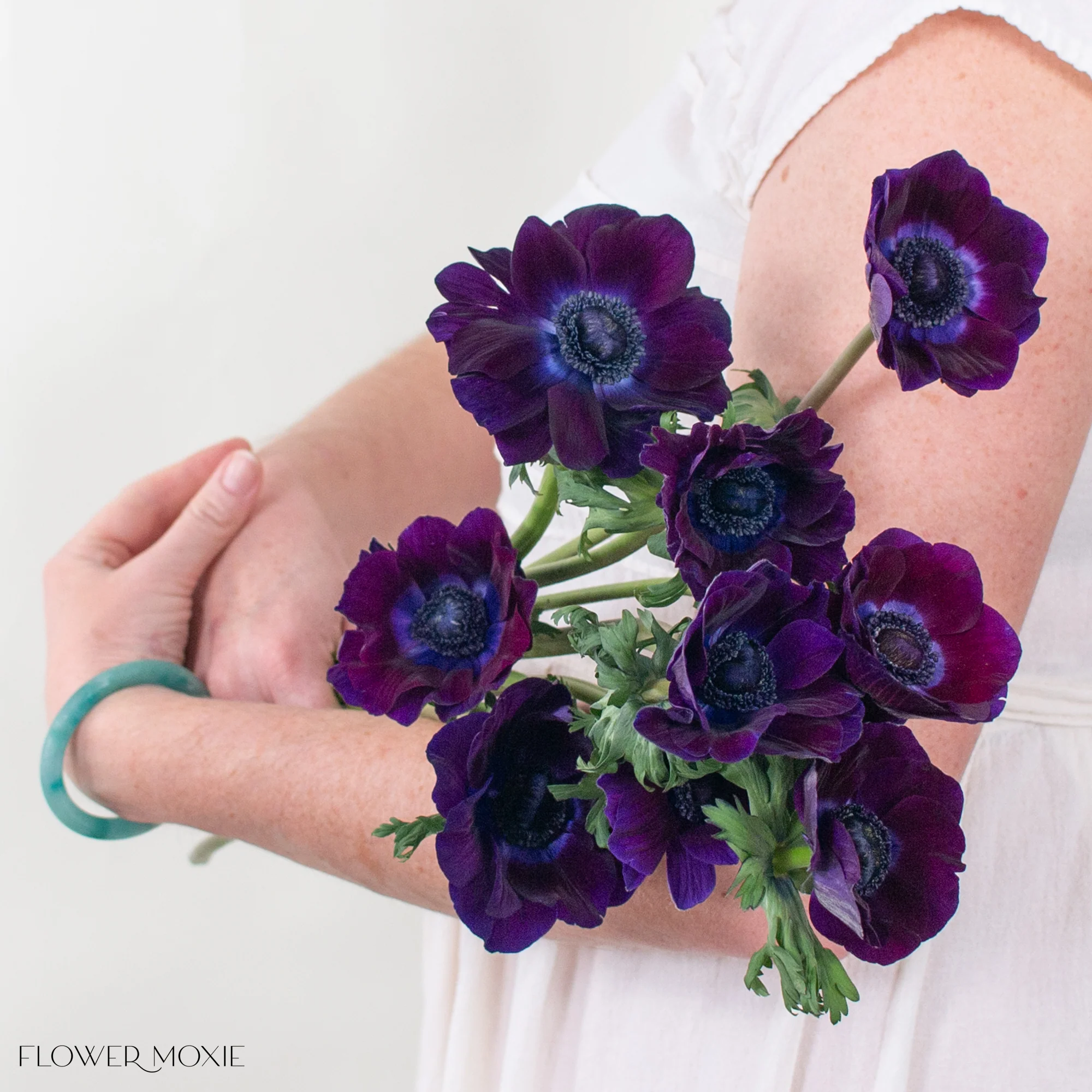 Burgundy Anemone Flower - Image 3