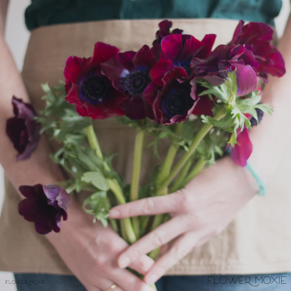 Burgundy Anemone Flower - Image 5