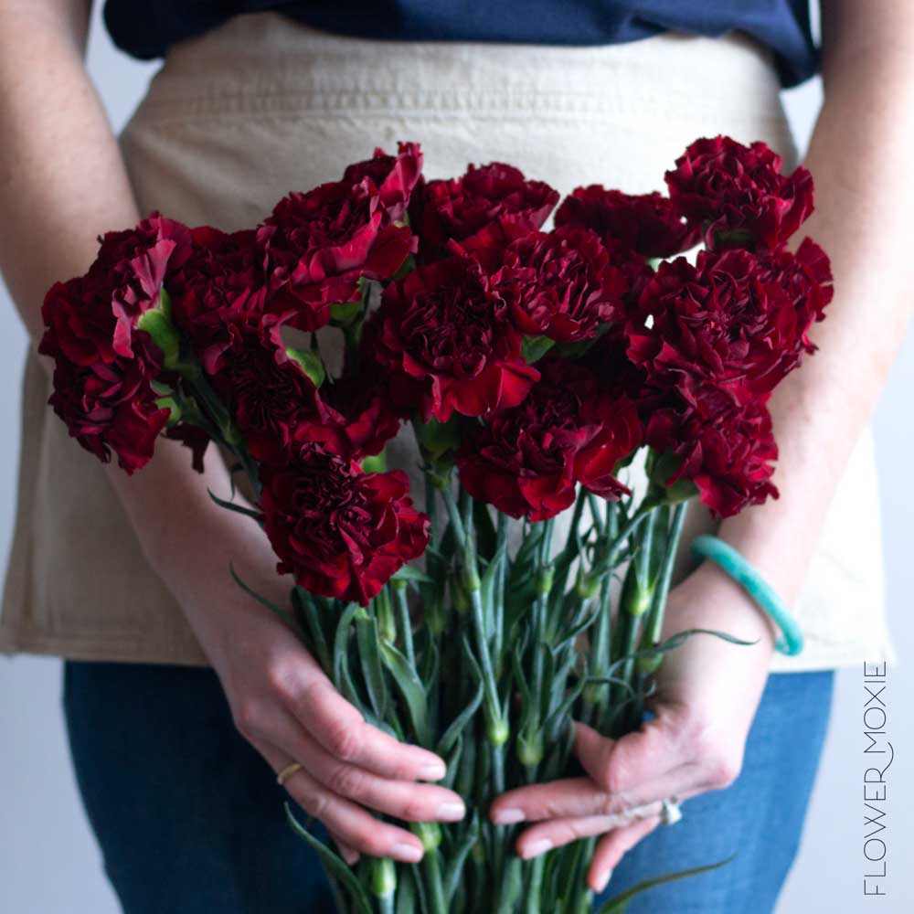 Burgundy Carnation Flower - Image 3