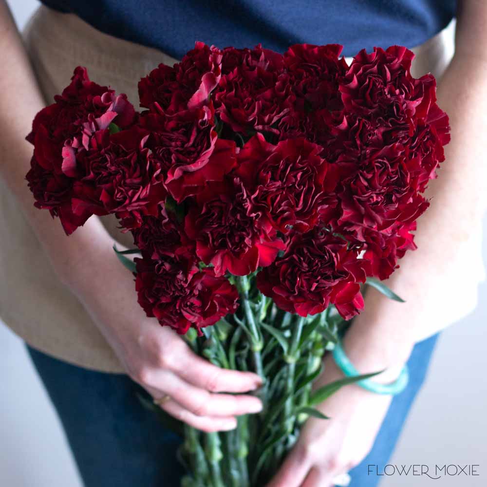 Burgundy Carnation Flower - Image 4