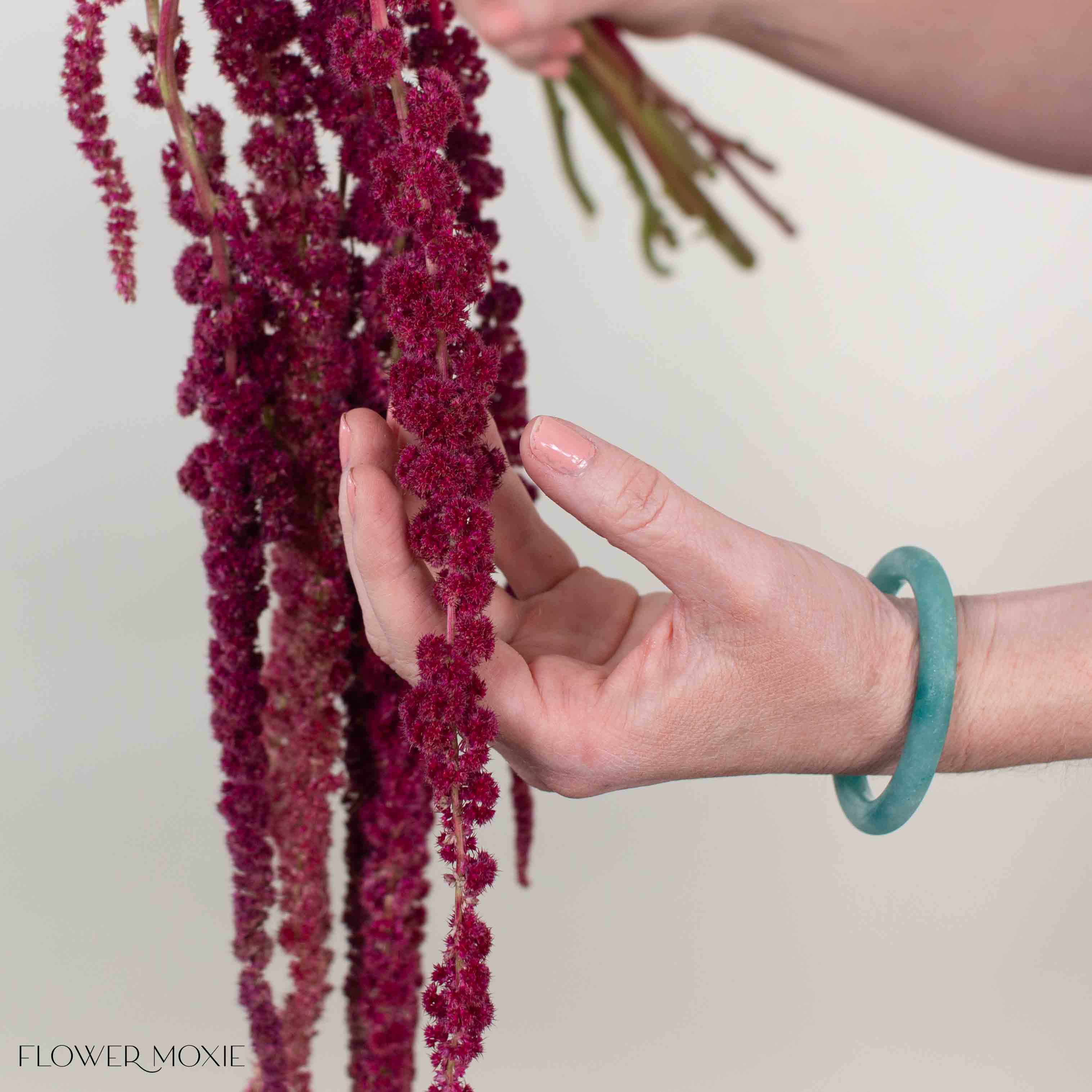 Burgundy Hanging Amaranthus Flower - Image 3