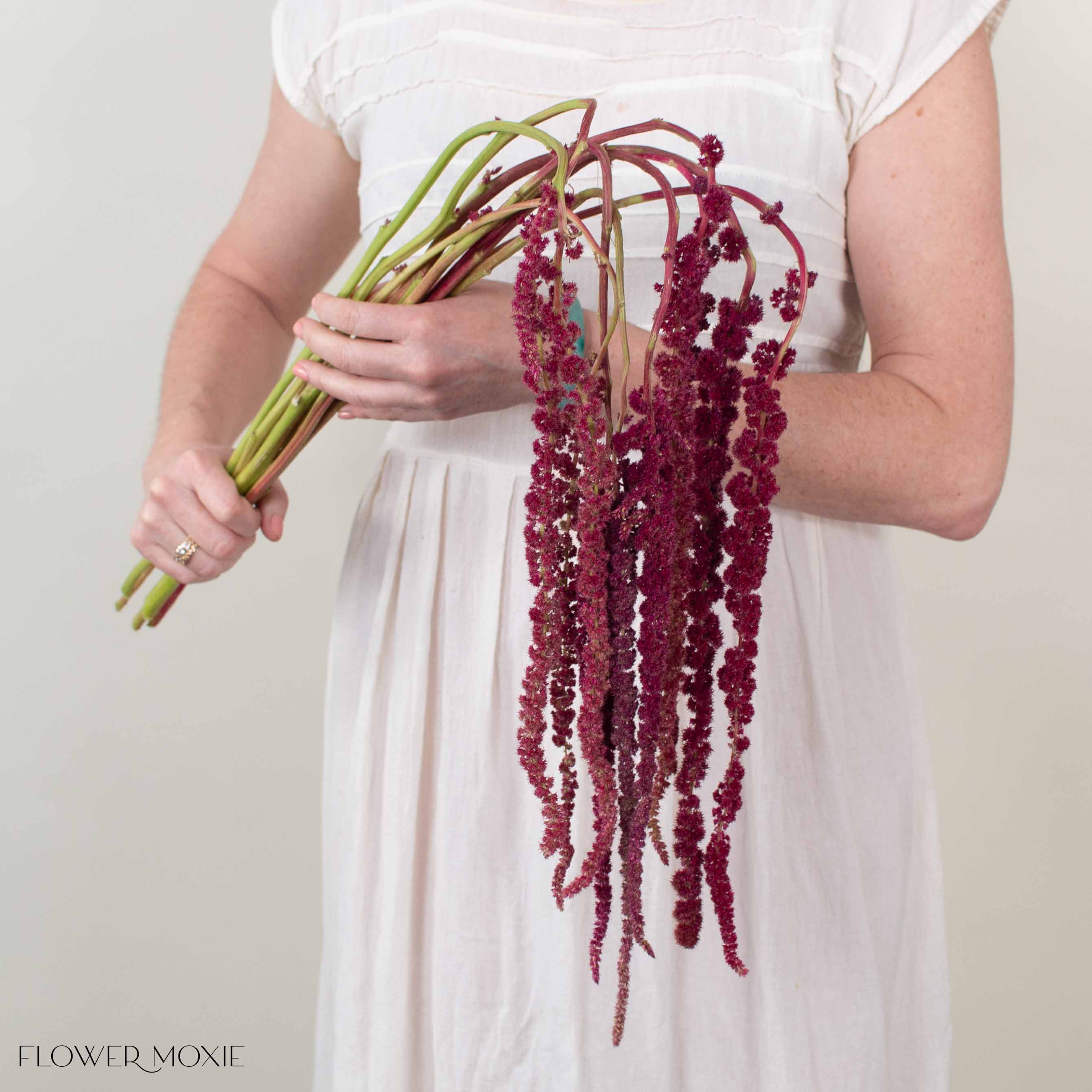 Burgundy Hanging Amaranthus Flower - Image 4