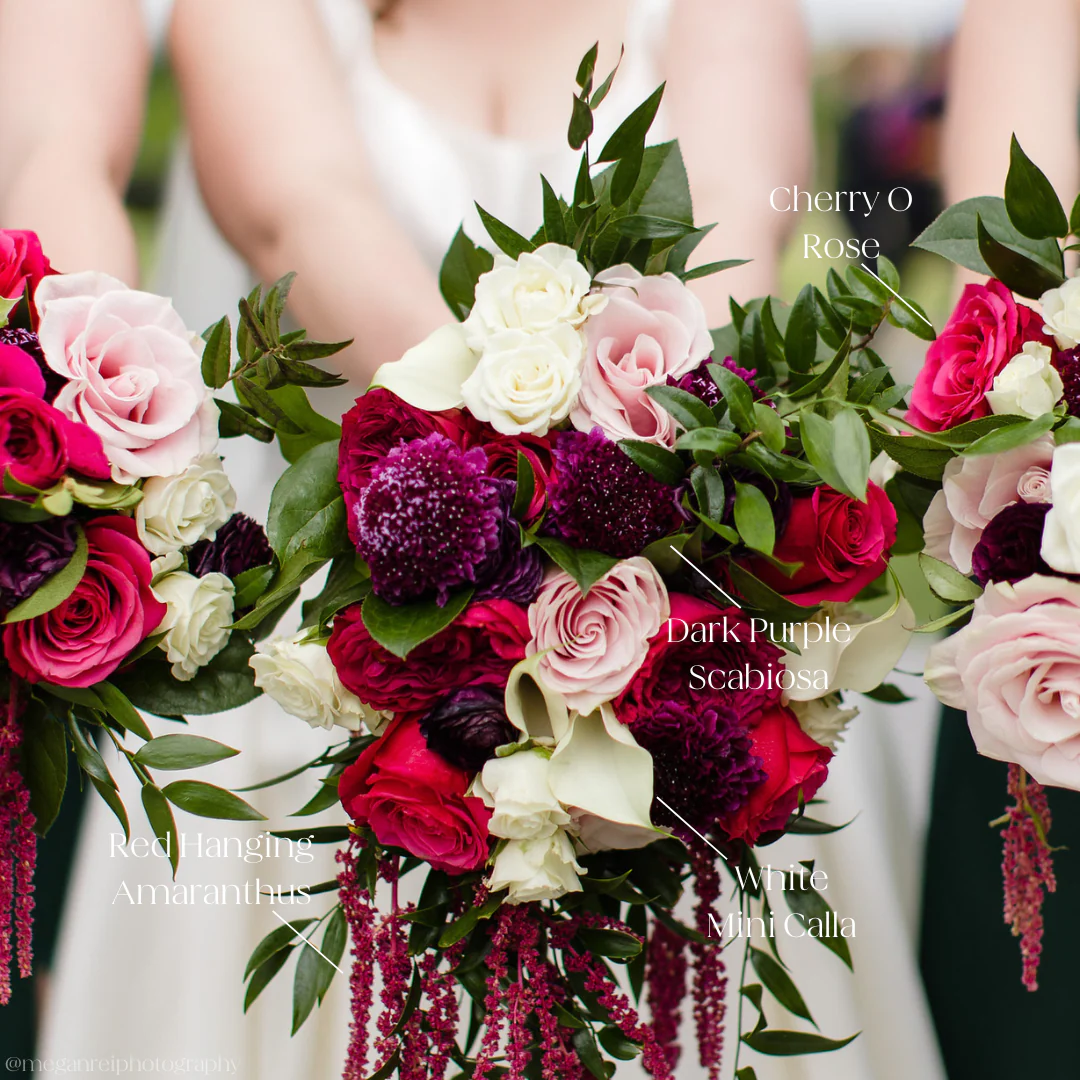 Burgundy Hanging Amaranthus Flower - Image 6