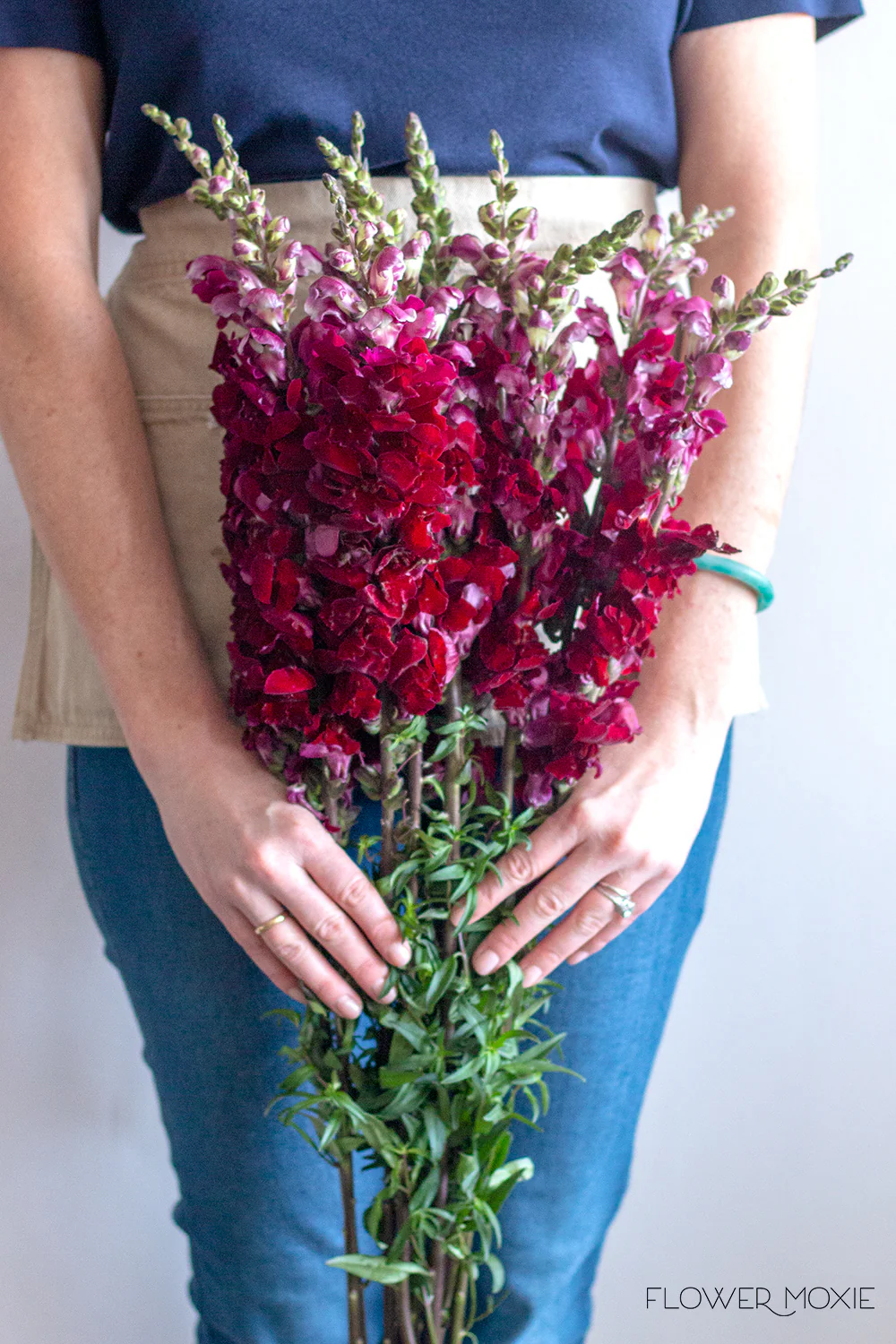 Burgundy Snapdragon Flower - Image 5