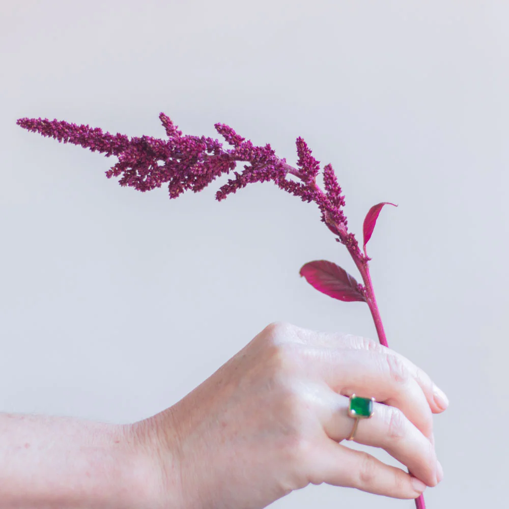 Burgundy Upright Amaranthus Flower - Image 4