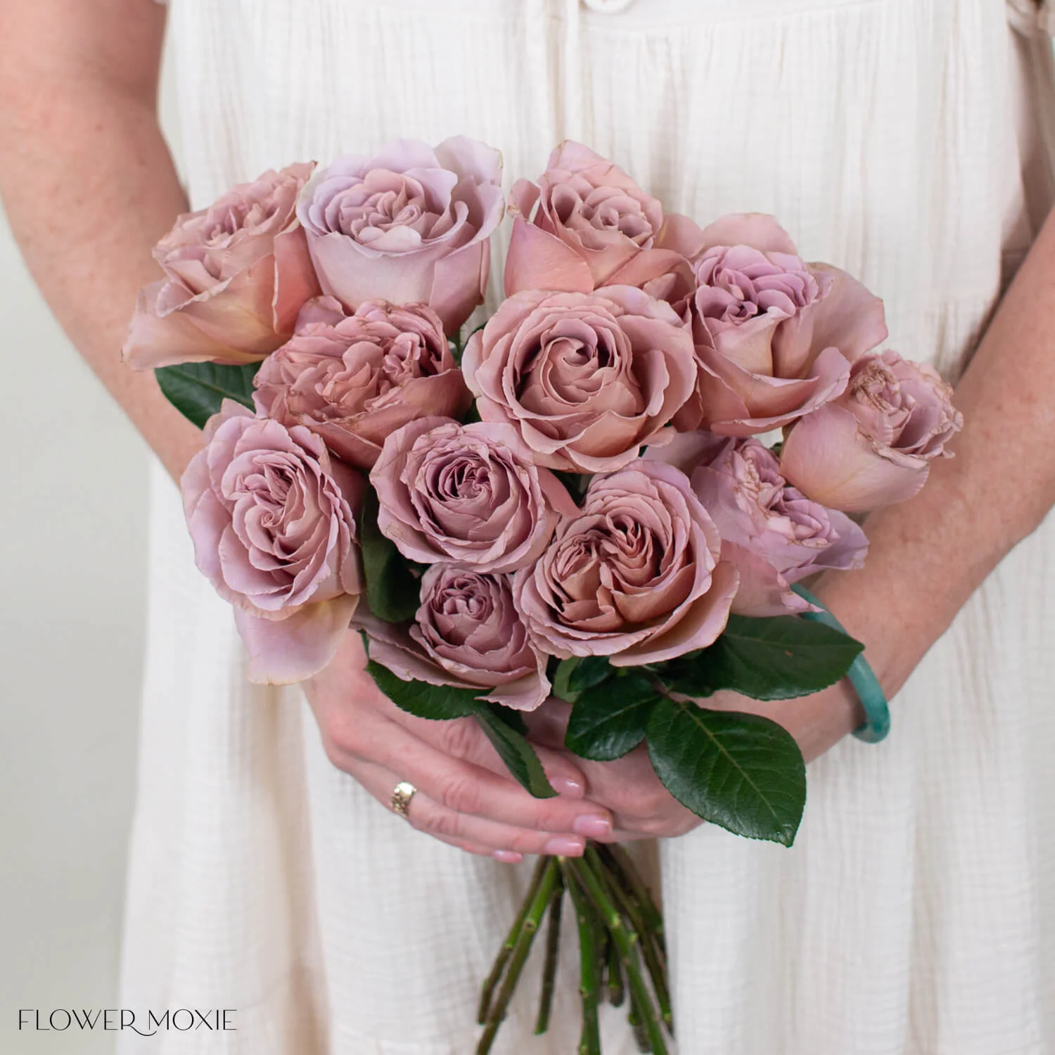 Mauve Cafe Latte Garden Rose - Image 4