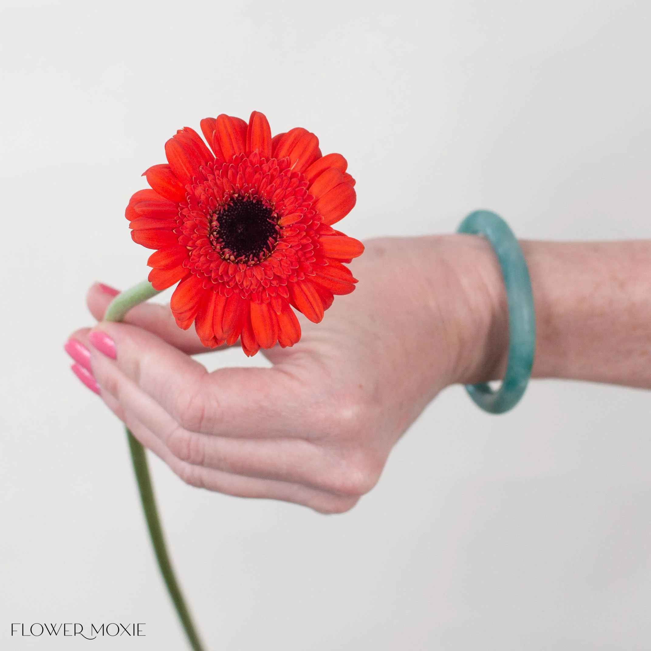 Deep Orange Mini Gerbera Daisies - Image 3