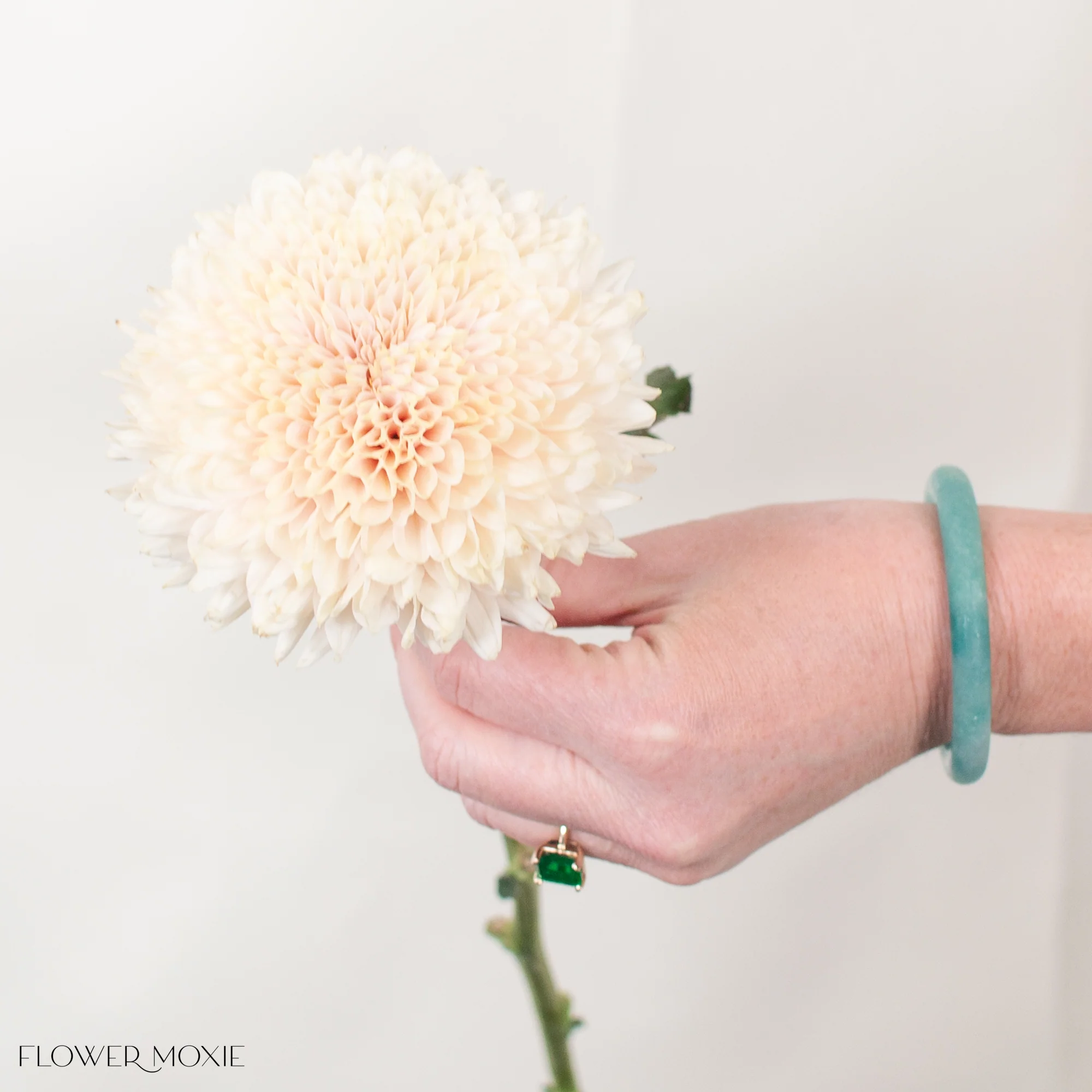 Champagne Cremone Flower - Image 4