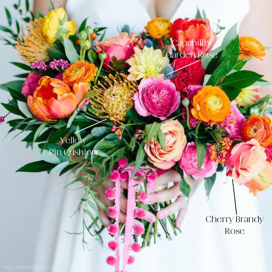 Sunset Orange Cherry Brandy Rose - Image 2