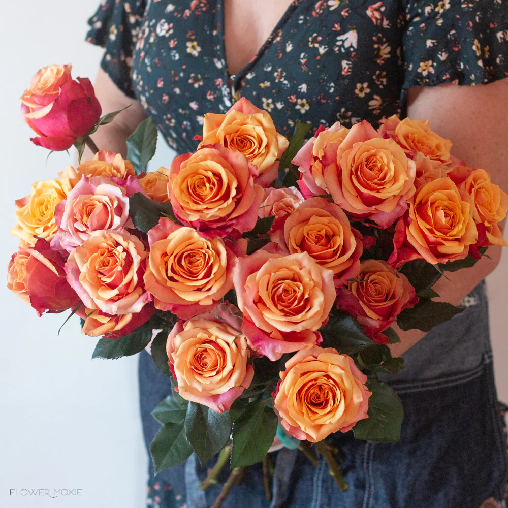 Sunset Orange Cherry Brandy Rose - Image 3