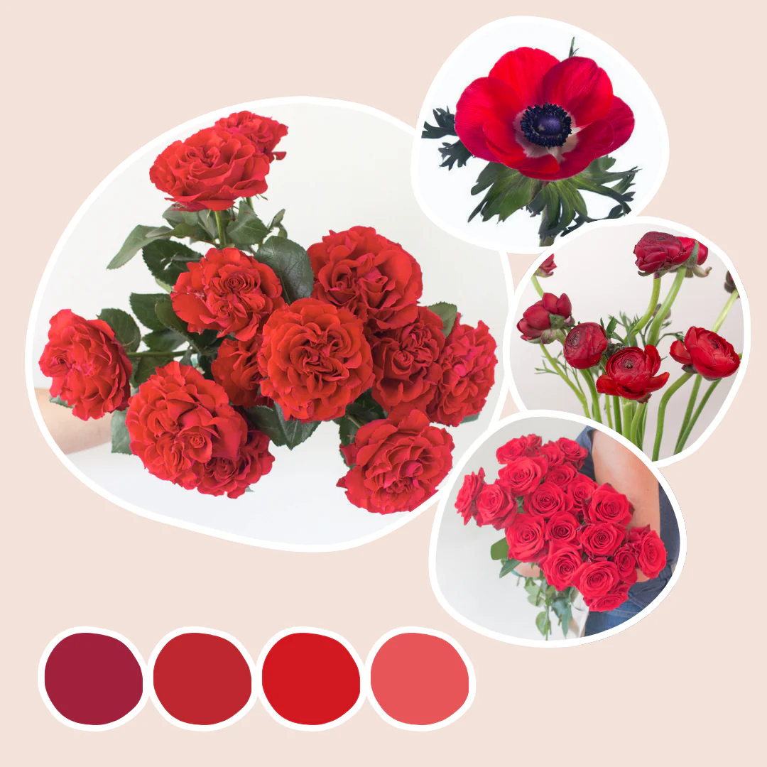 Red Mixed Box – Lush Blooms