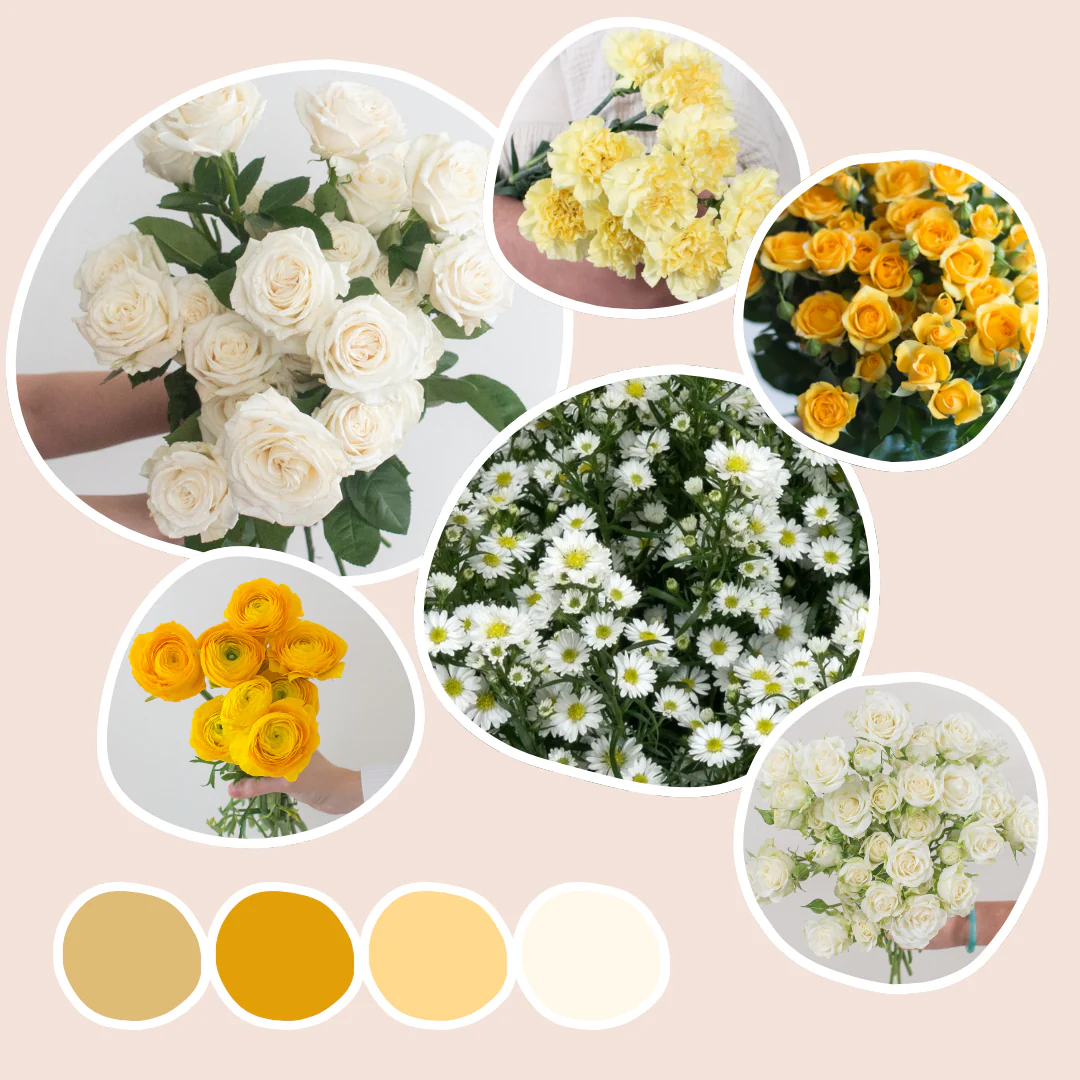 Citrine Sample Box