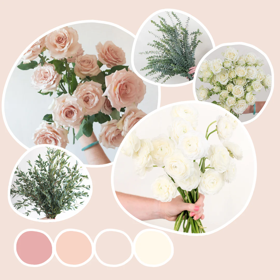 Blush Mixed Box – Soft Dune