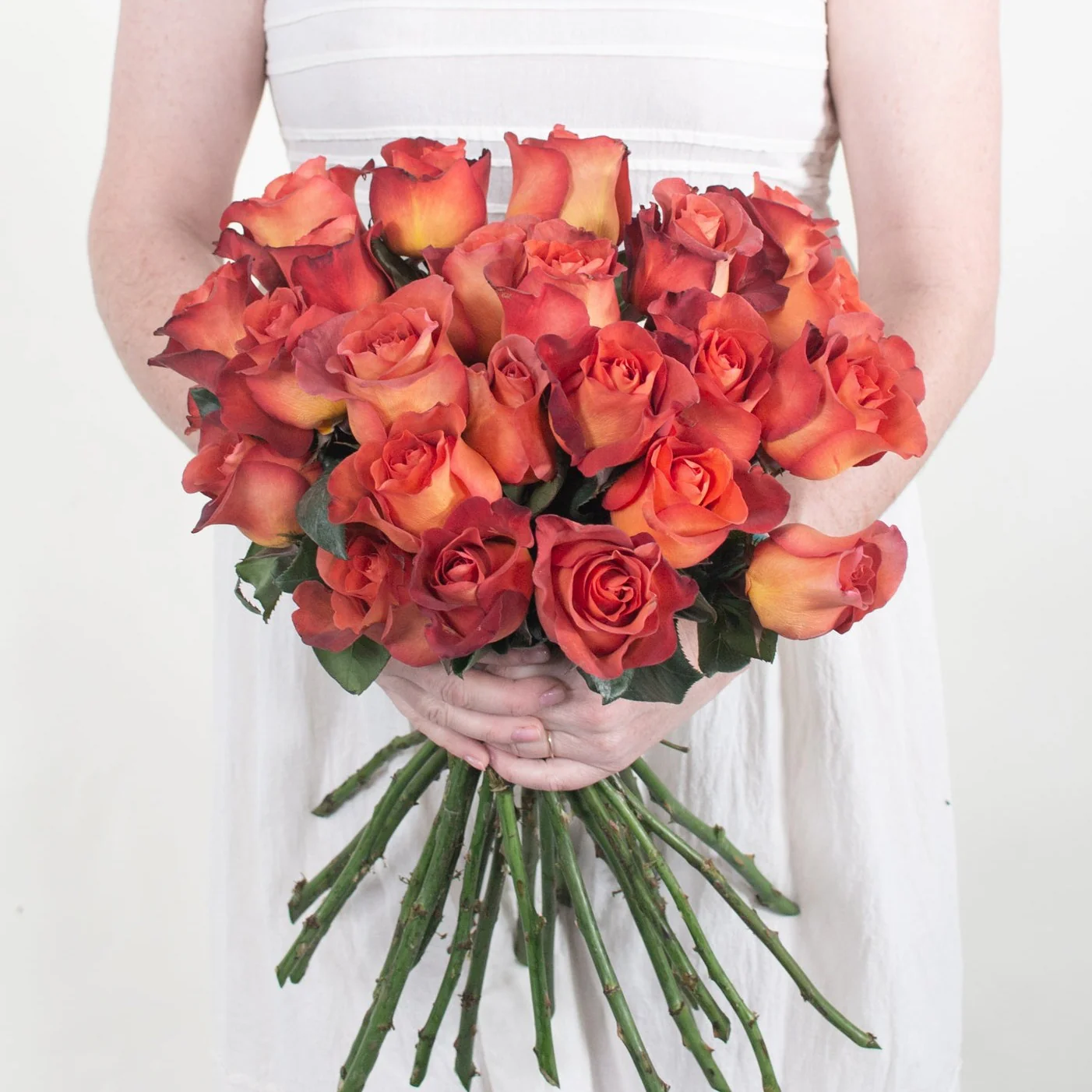 Terracotta Coffee Break Rose - Image 3