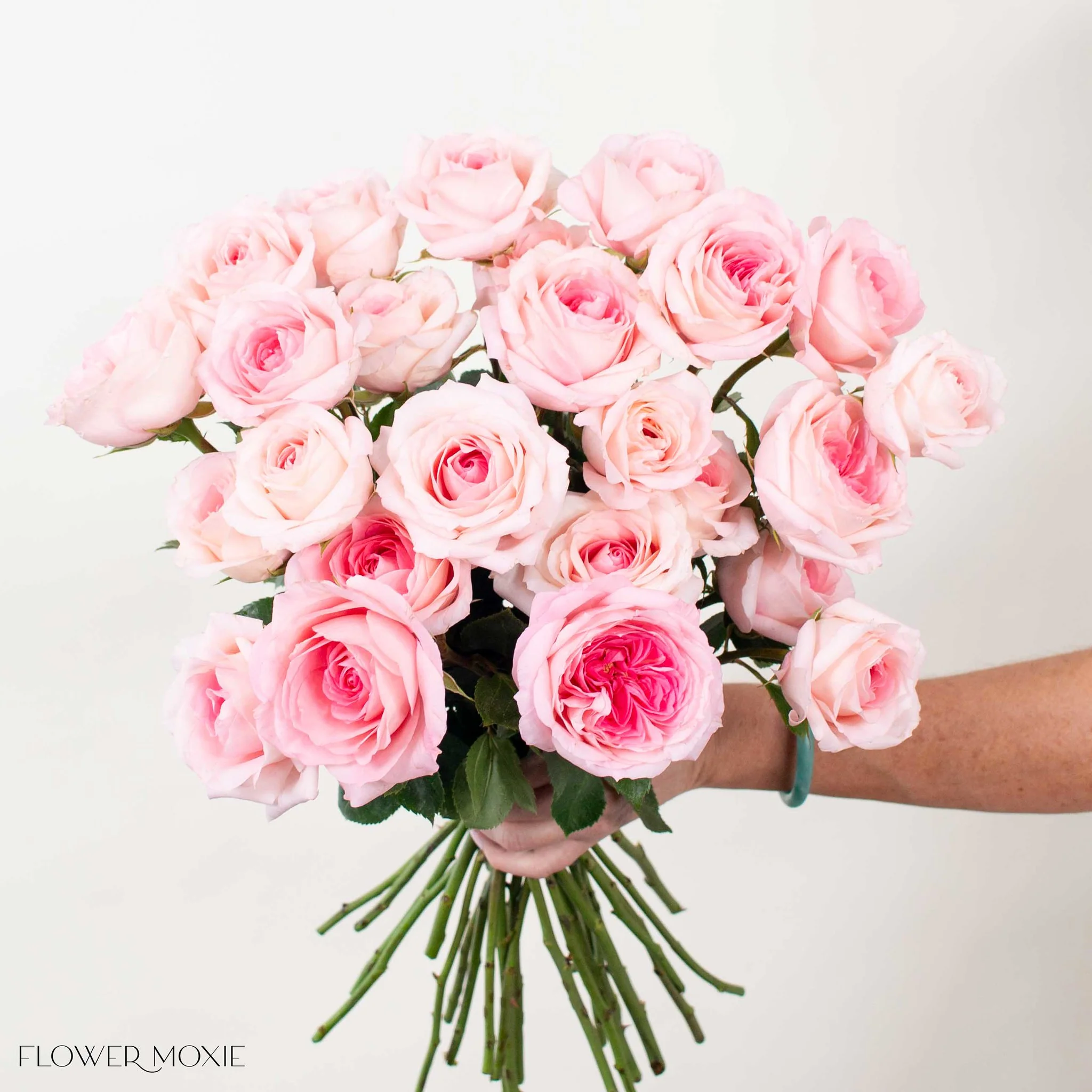 Light Pink Garden Rose - Image 3