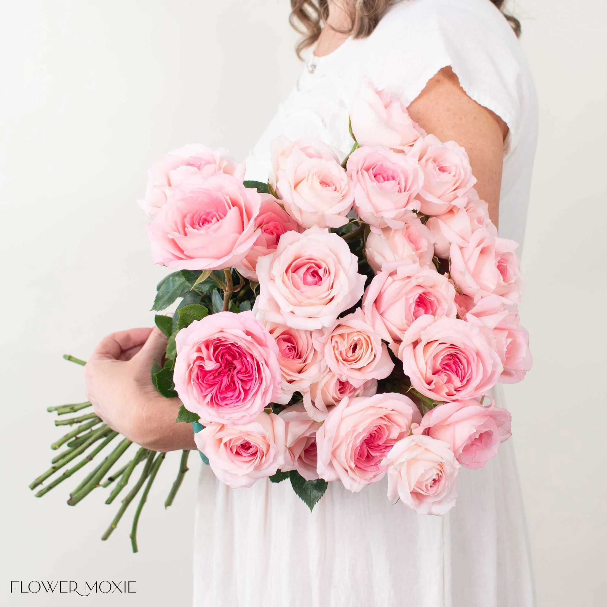 Light Pink Garden Rose - Image 4