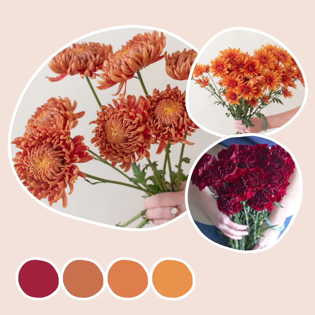 FALL ONLY Mixed Box – Copper & Claret
