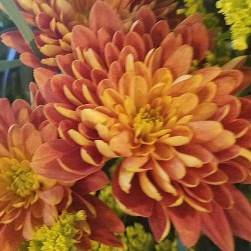 FALL ONLY - Copper Cushion Pom Flower - Image 6