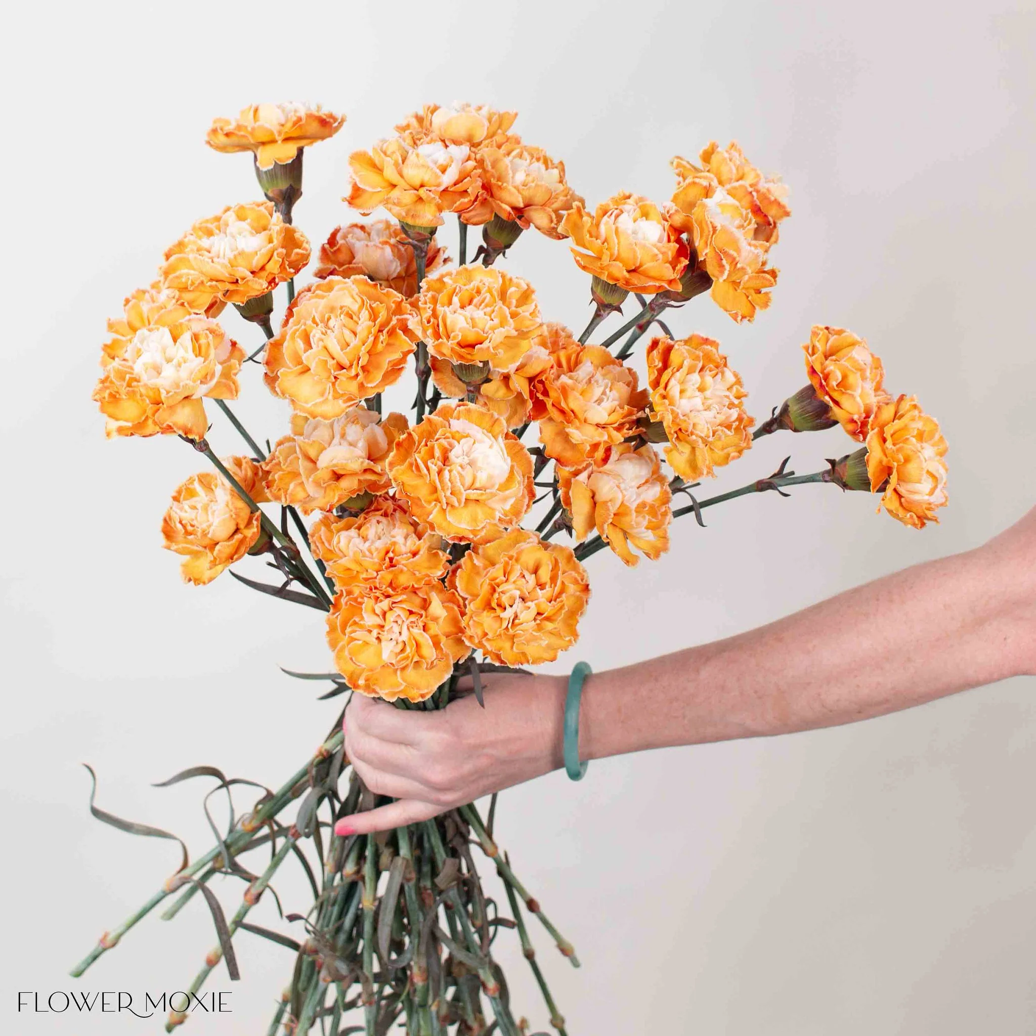 Tinted Pumpkin Spice Carnation Flower