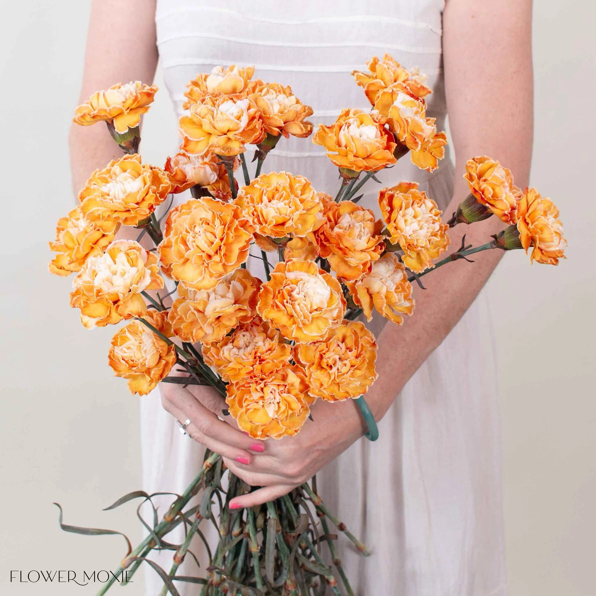 Tinted Pumpkin Spice Carnation Flower - Image 3