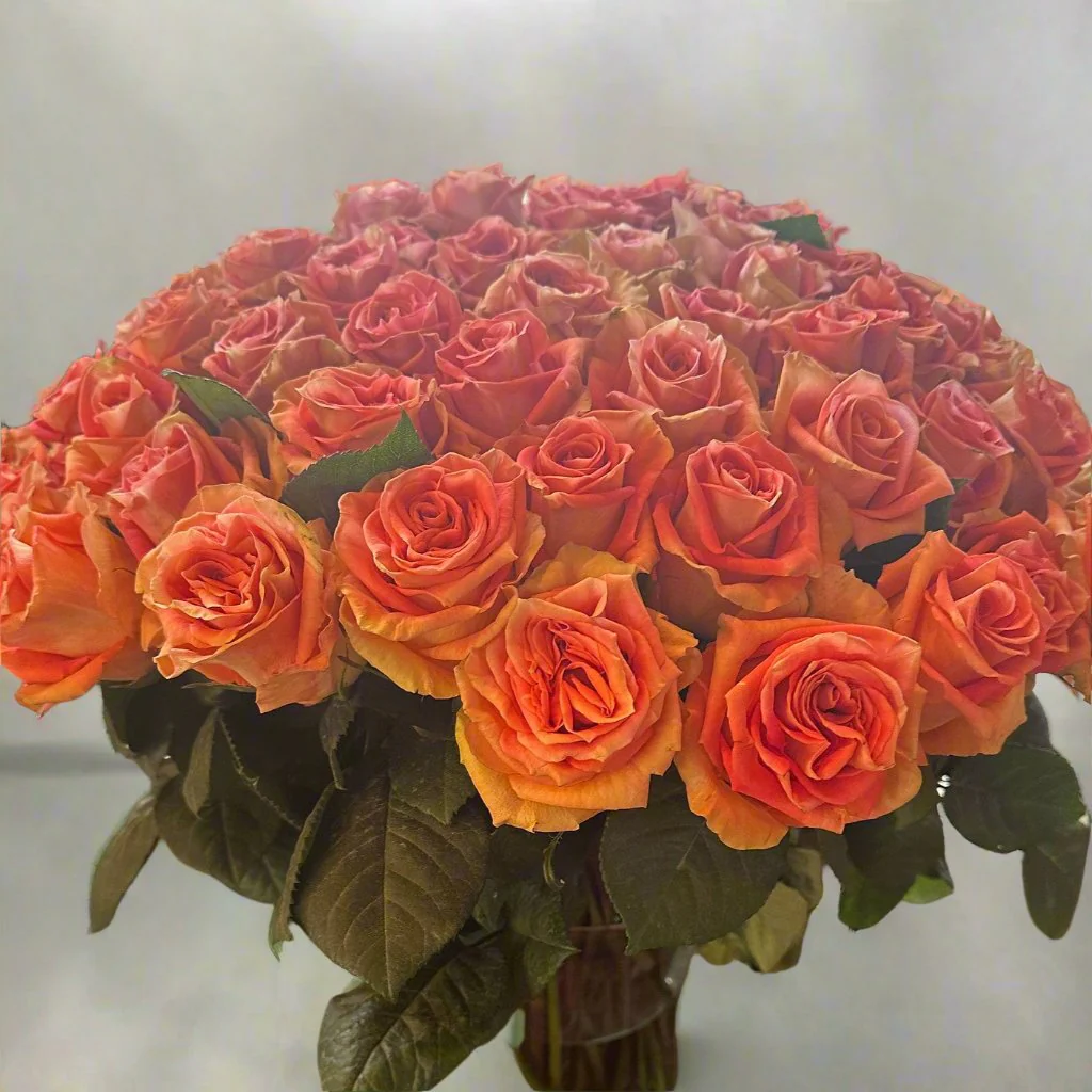 Coral Funky Cold Medina Rose - Image 6