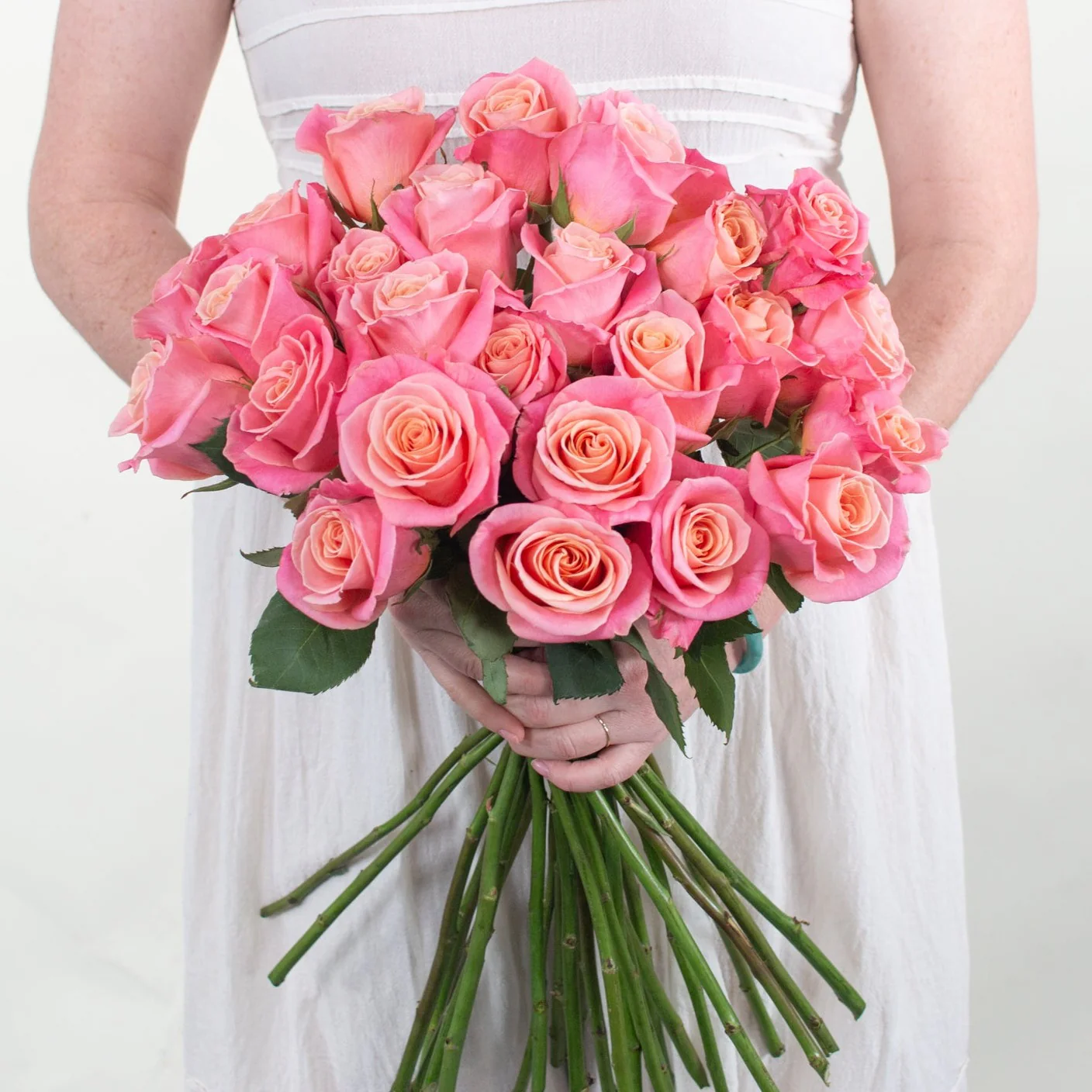 Coral Pink Miss Piggy Rose