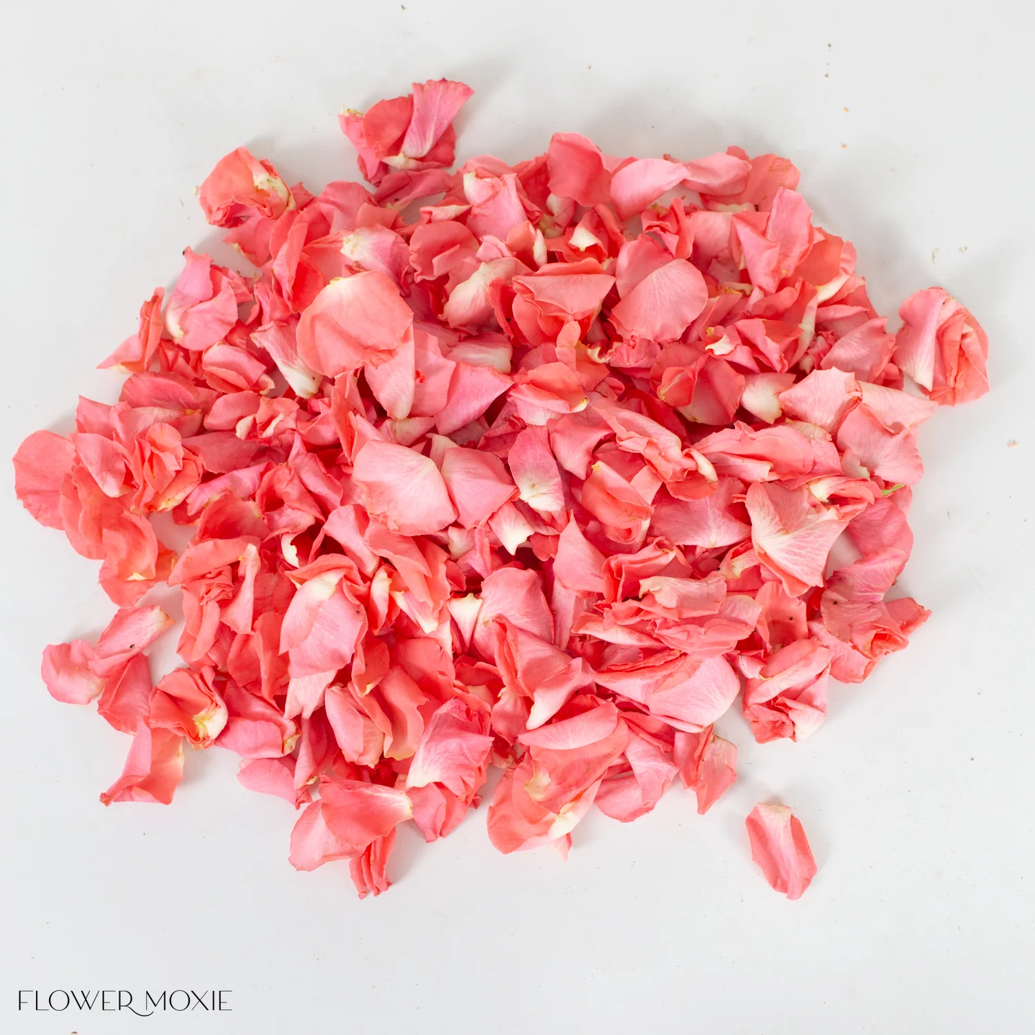 Coral Rose Petals - Image 3