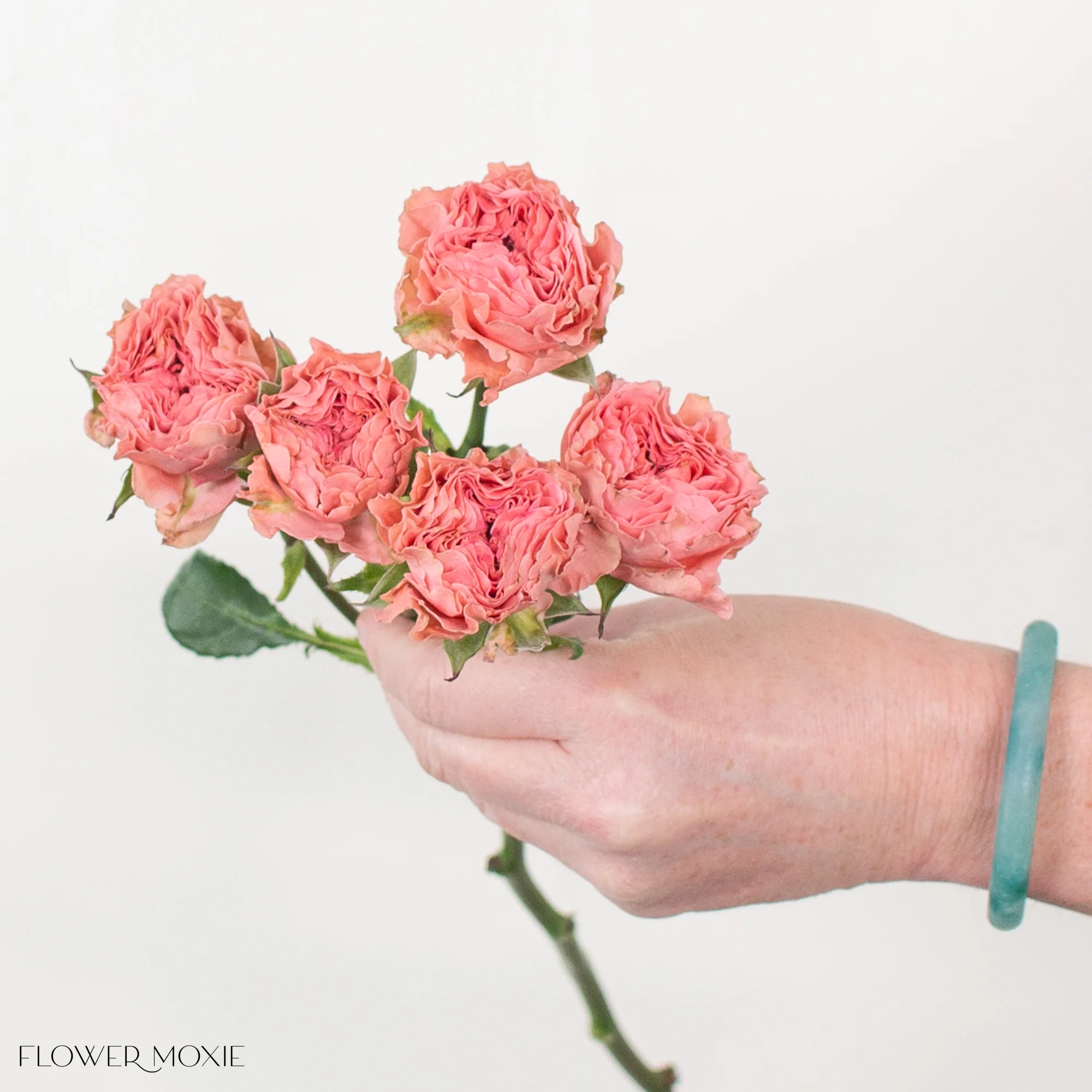 Coral Spray Roses - Image 3