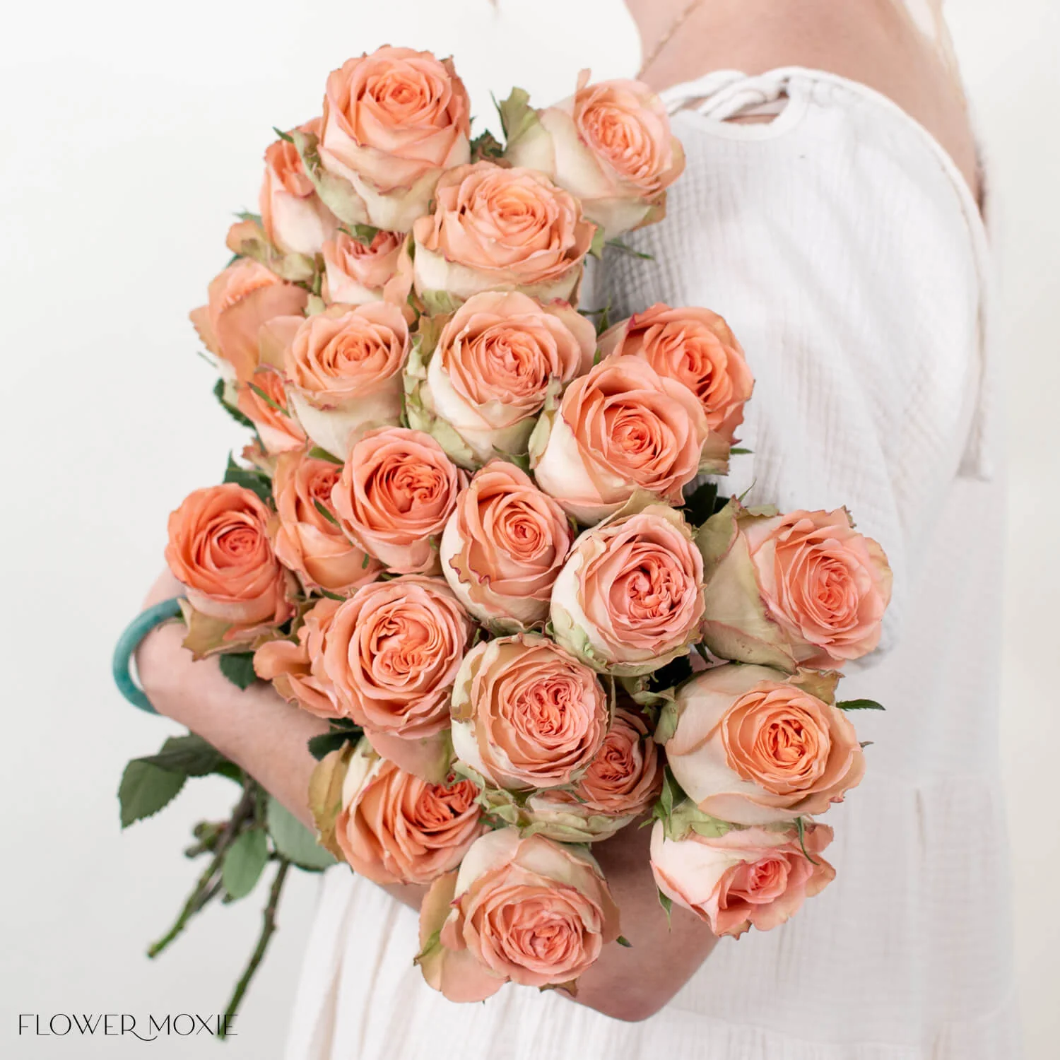 Peach Country Home Garden Rose
