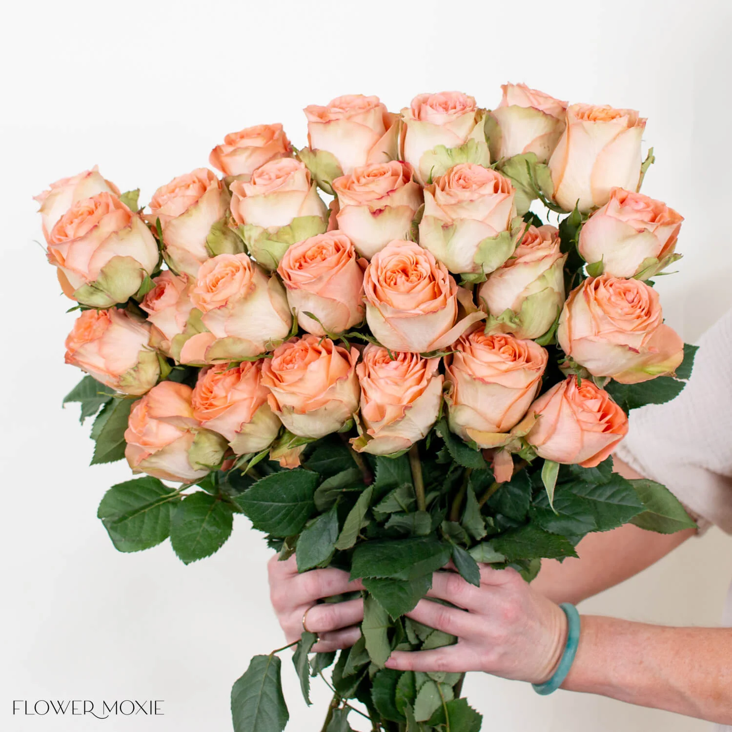 Peach Country Home Garden Rose - Image 3