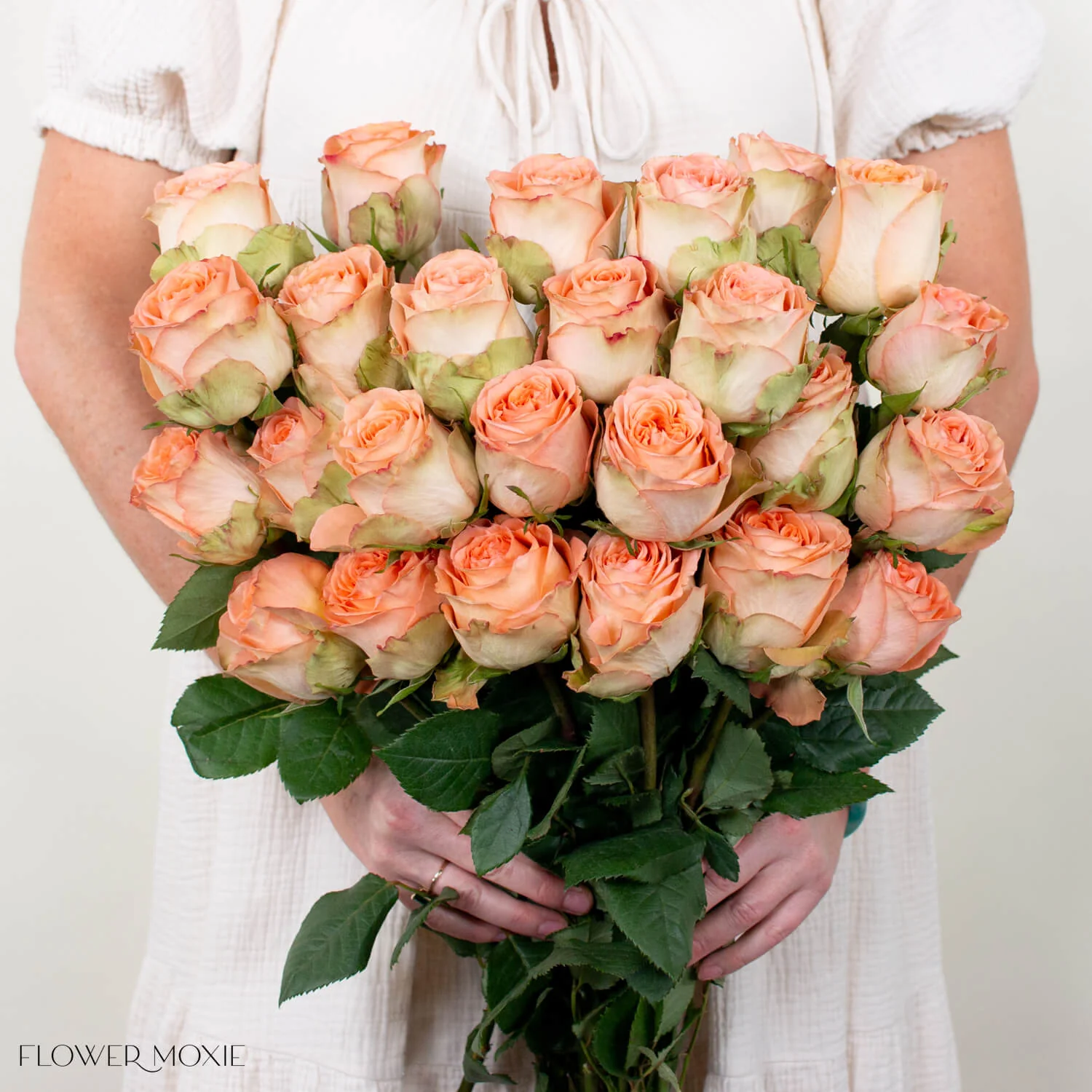 Peach Country Home Garden Rose - Image 5