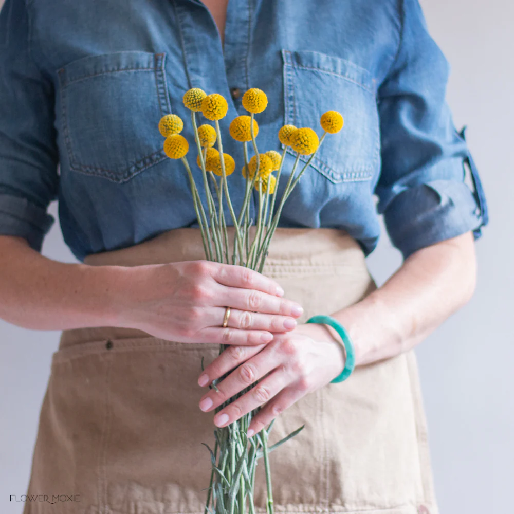 Yellow Billy Ball Flower - Image 3